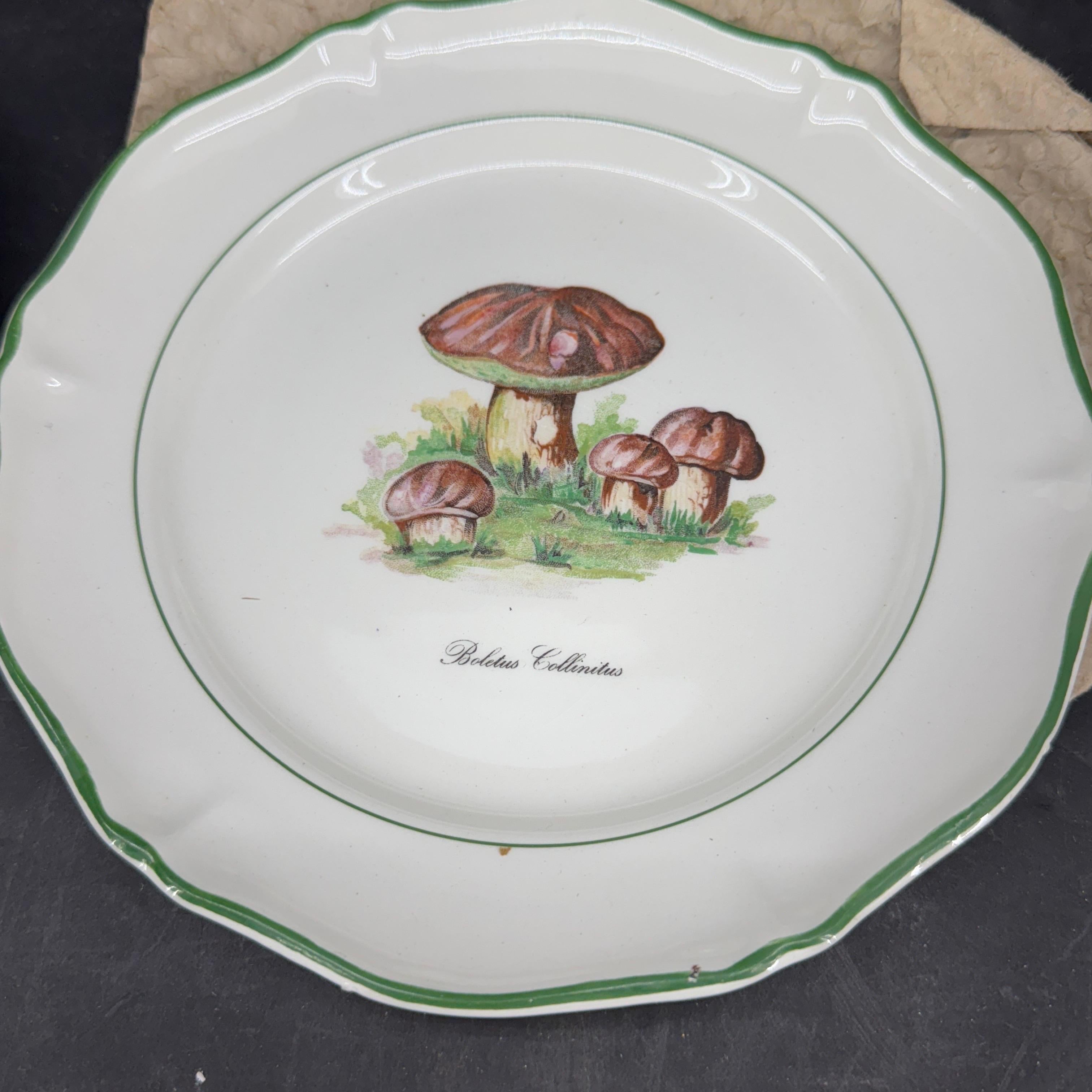 20th Century Six Vintage Saint Amand French Mushroom Porcelain Plates, a Set For Sale