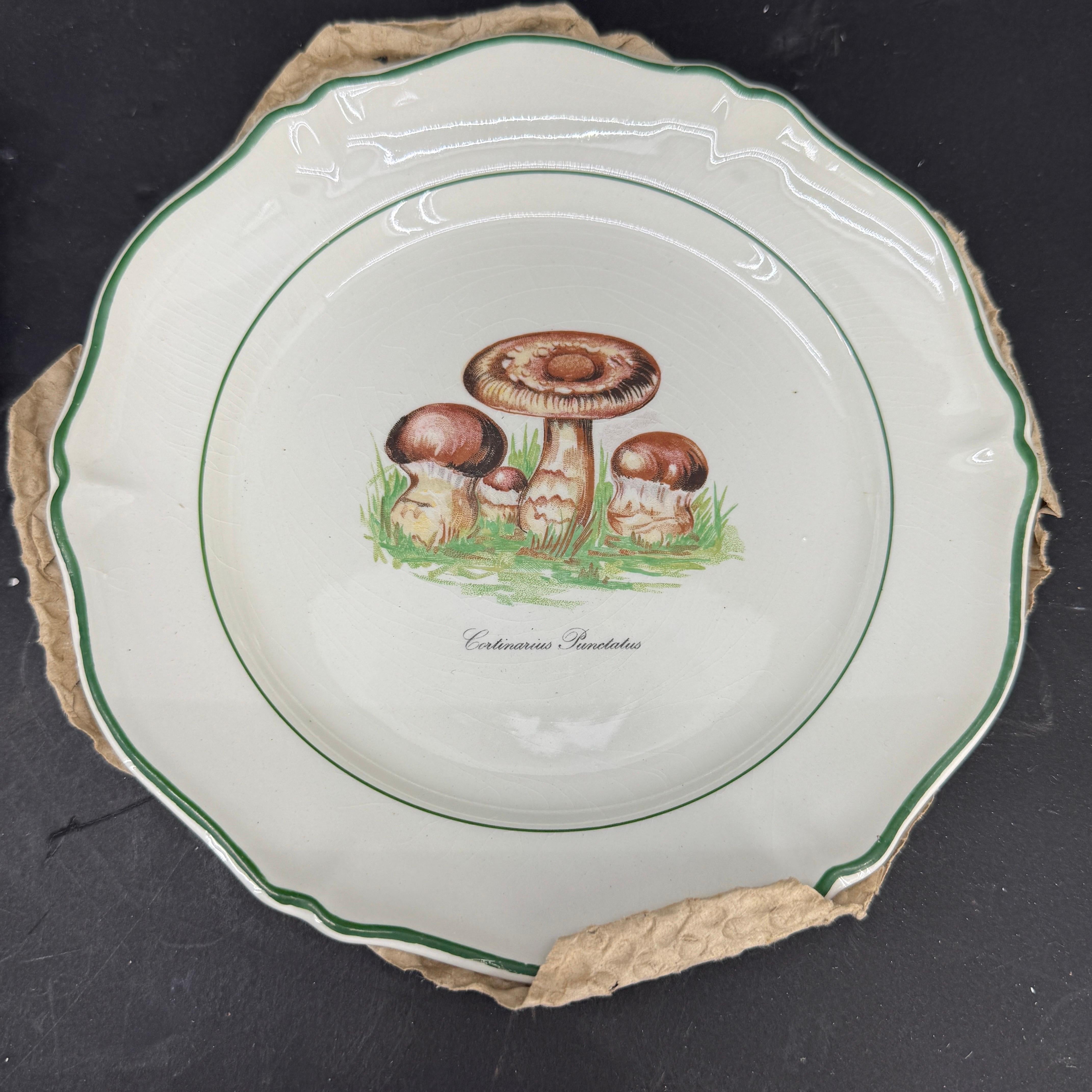 Faience Six Vintage Saint Amand French Mushroom Porcelain Plates, a Set For Sale
