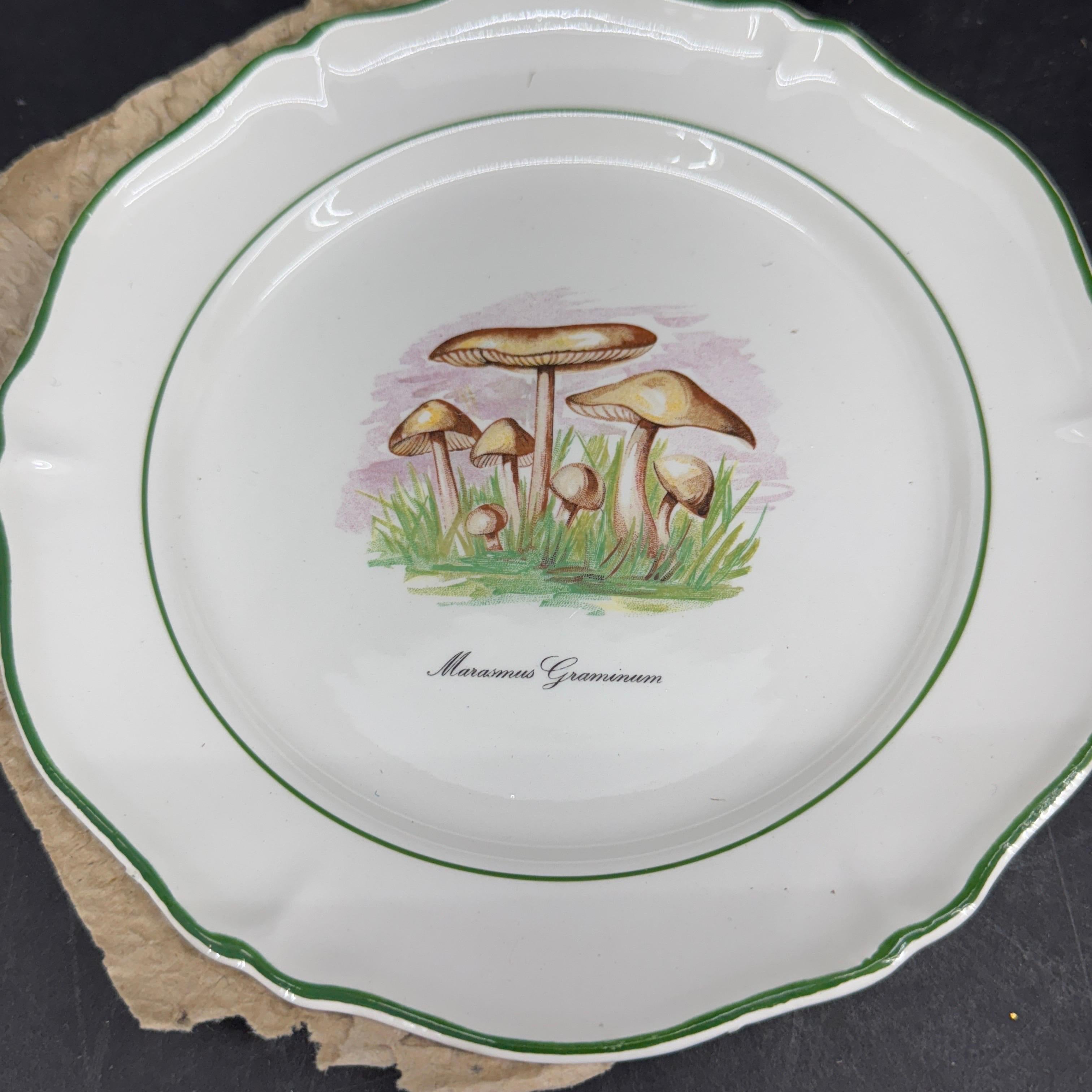 Six Vintage Saint Amand French Mushroom Porcelain Plates, a Set For Sale 1