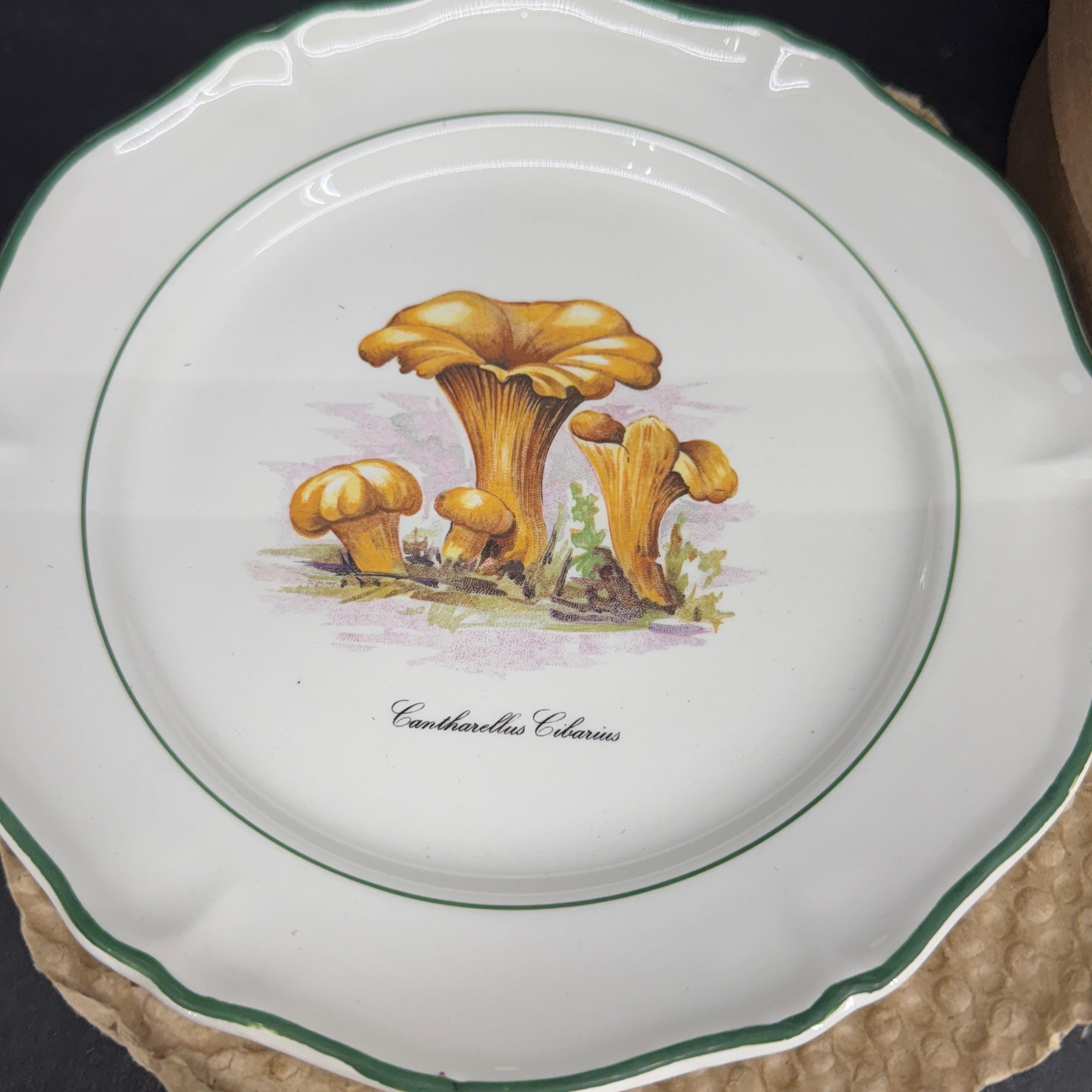 Six Vintage Saint Amand French Mushroom Porcelain Plates, a Set For Sale 2