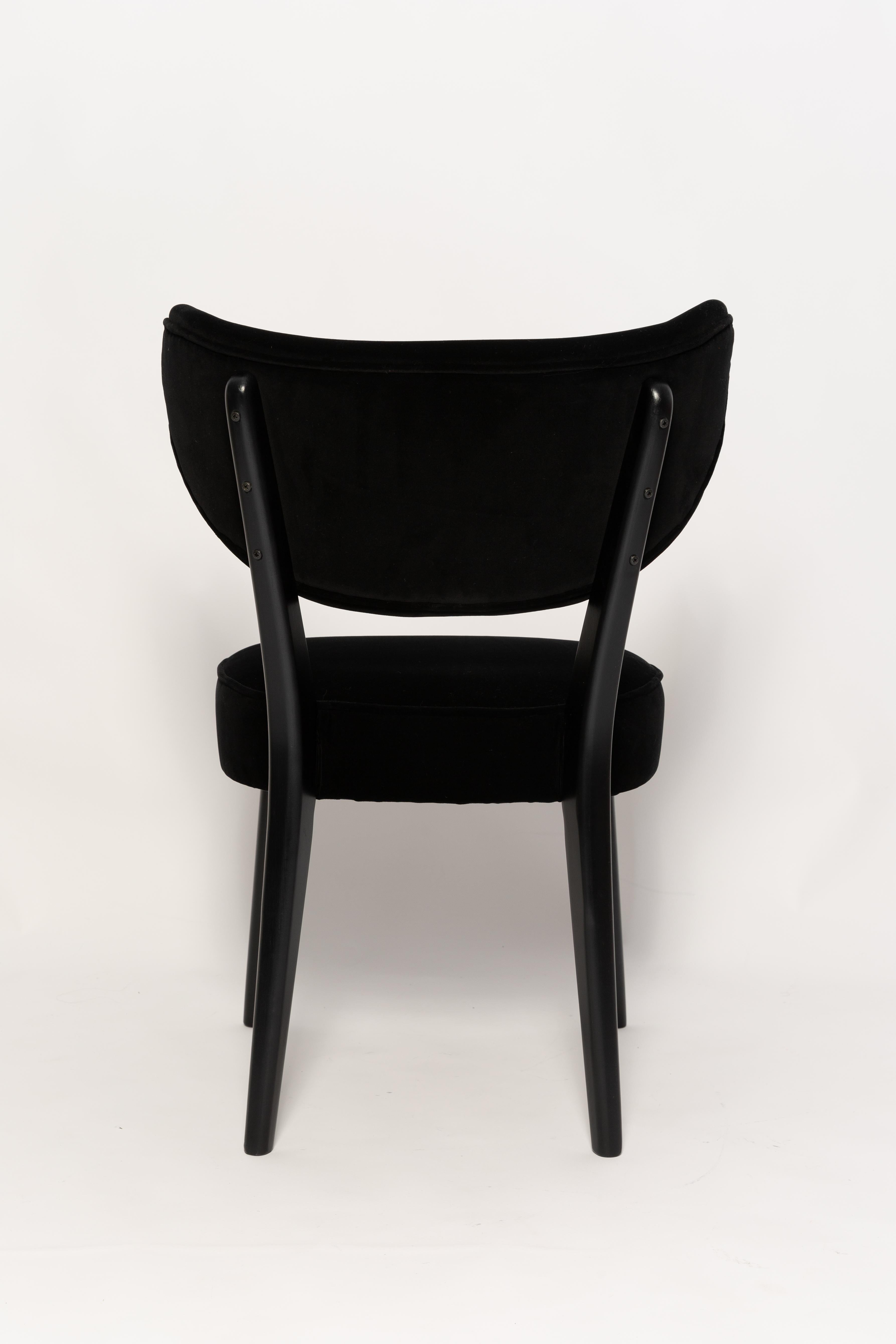 Six Vintola Dining Chairs, Black Velvet Adamo and Eva by Dedar, Europe, Poland For Sale 2