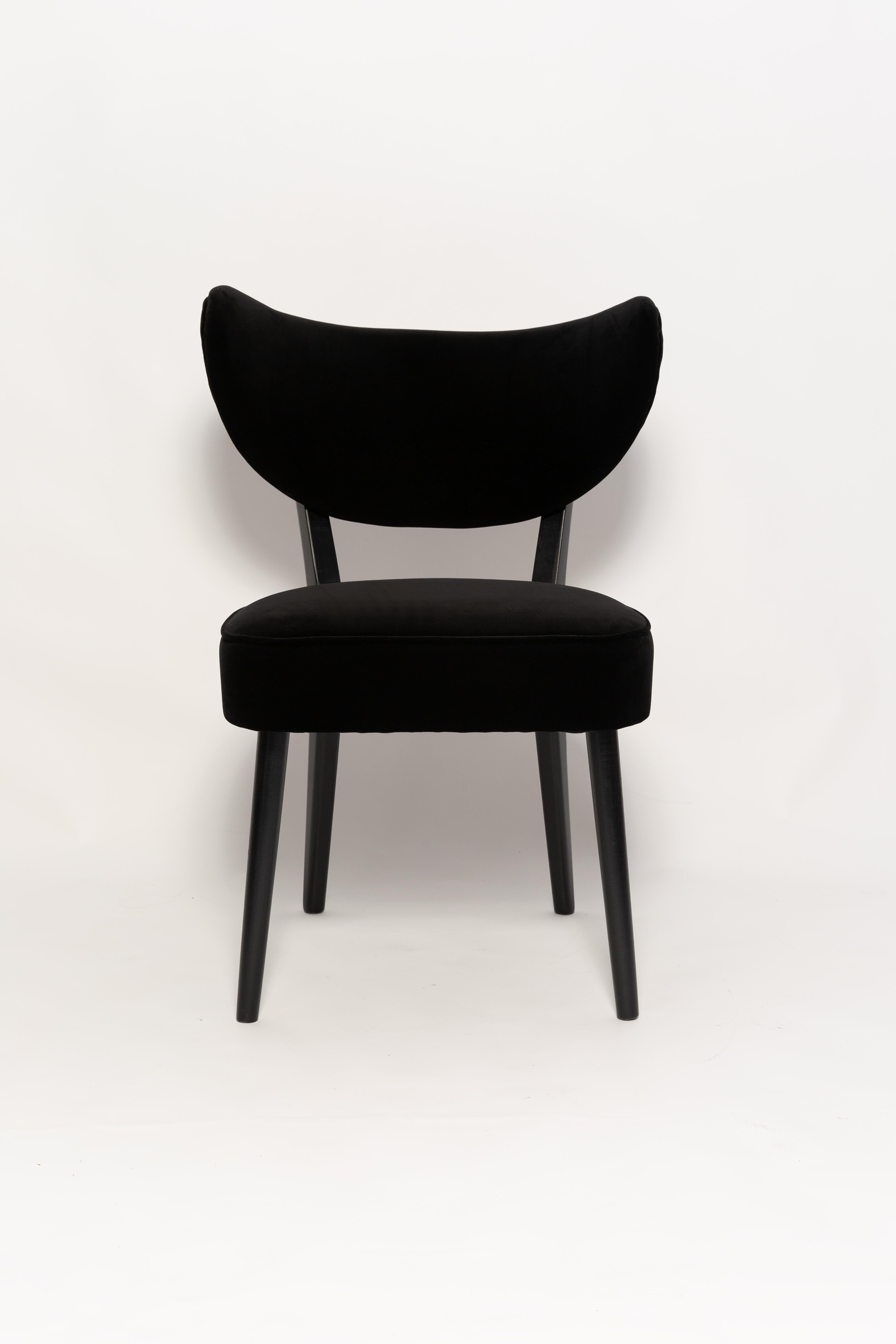 Six Vintola Dining Chairs, Black Velvet Adamo and Eva by Dedar, Europe, Poland For Sale 3