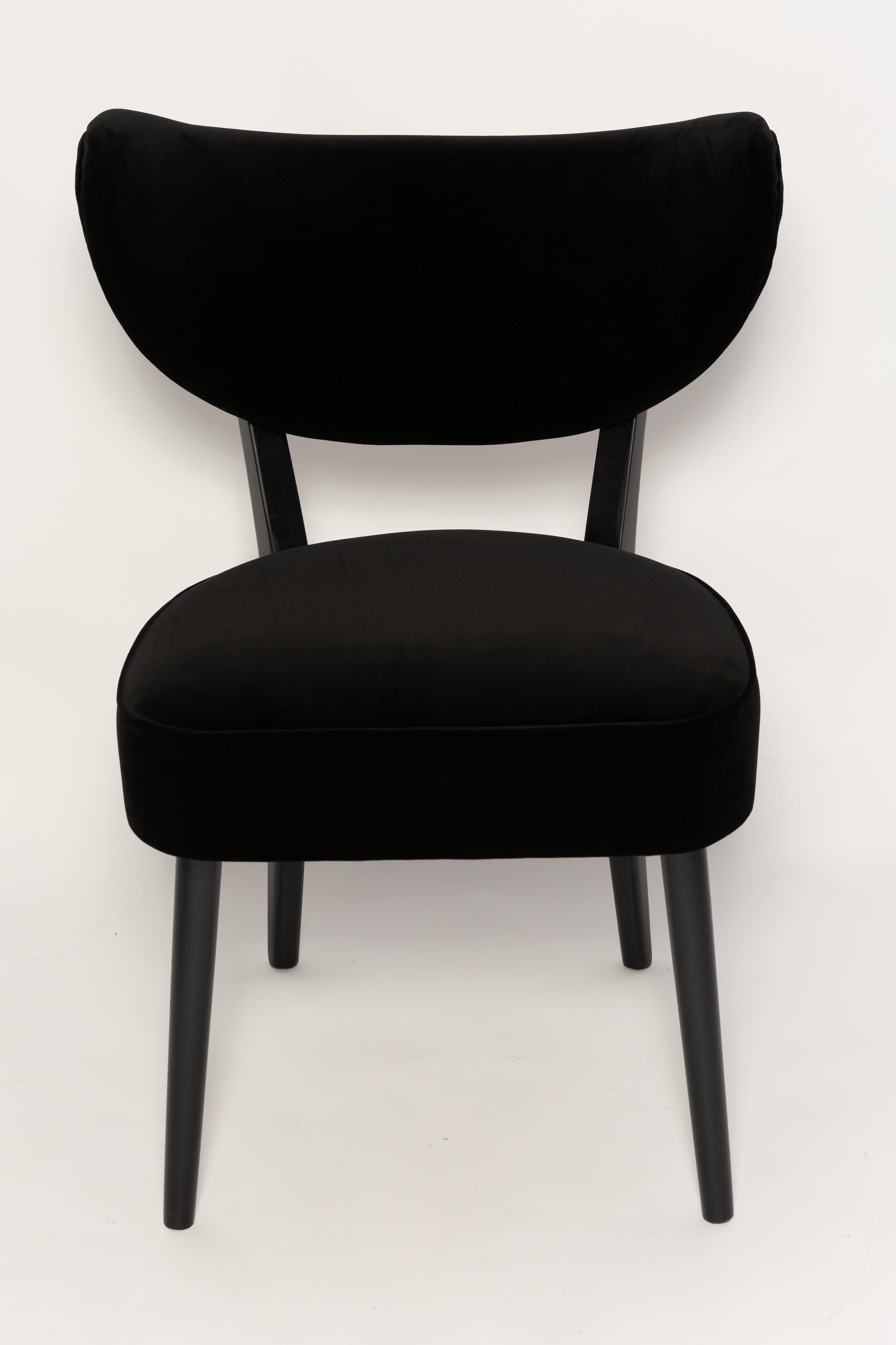 Six Vintola Dining Chairs, Black Velvet Adamo and Eva by Dedar, Europe, Poland For Sale 4