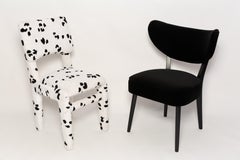 Six Vintola Dining Chairs, Black Velvet Adamo and Eva by Dedar, Europe, Poland