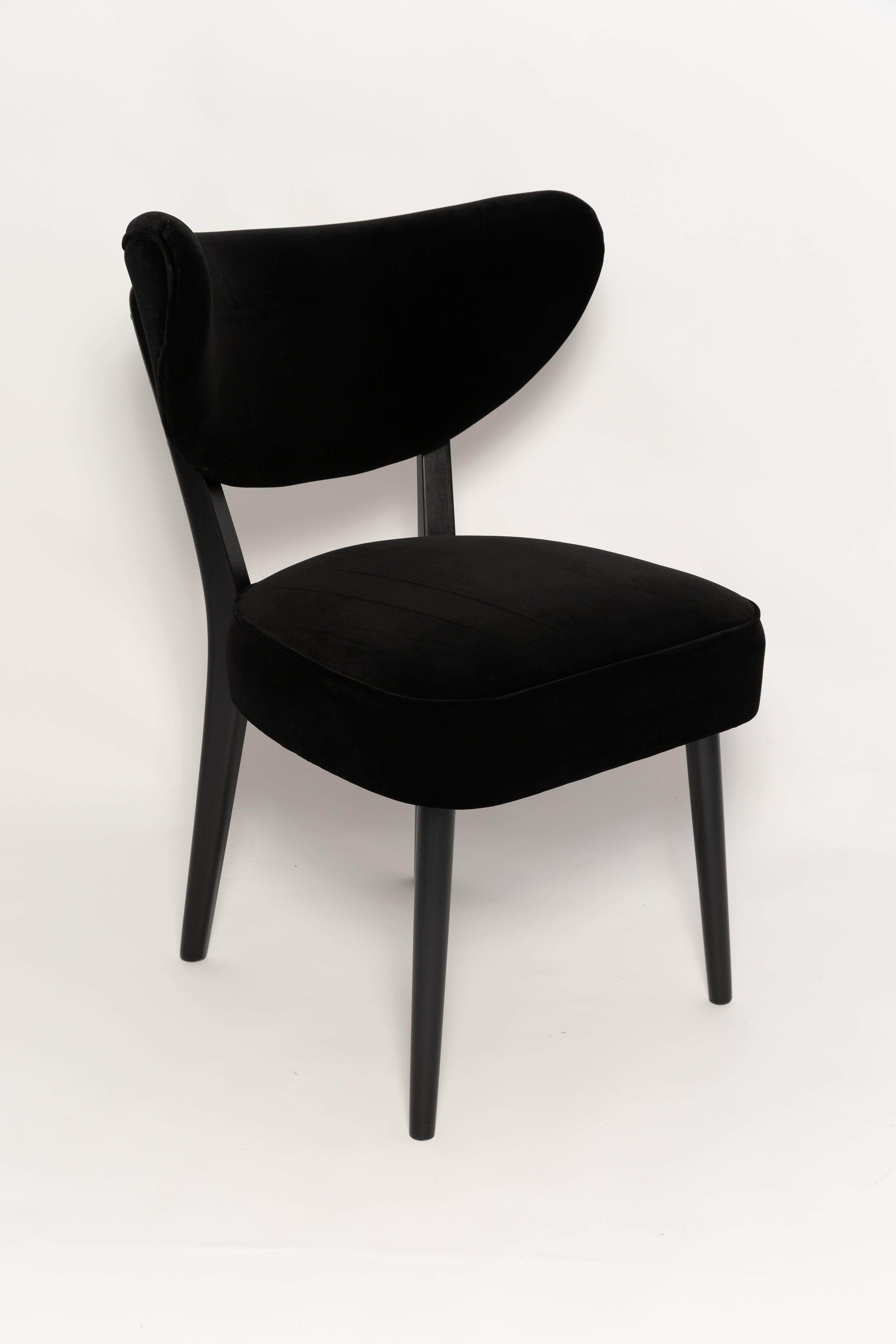 Polish Six Vintola Dining Chairs, Black Velvet Adamo and Eva by Dedar, Europe, Poland For Sale