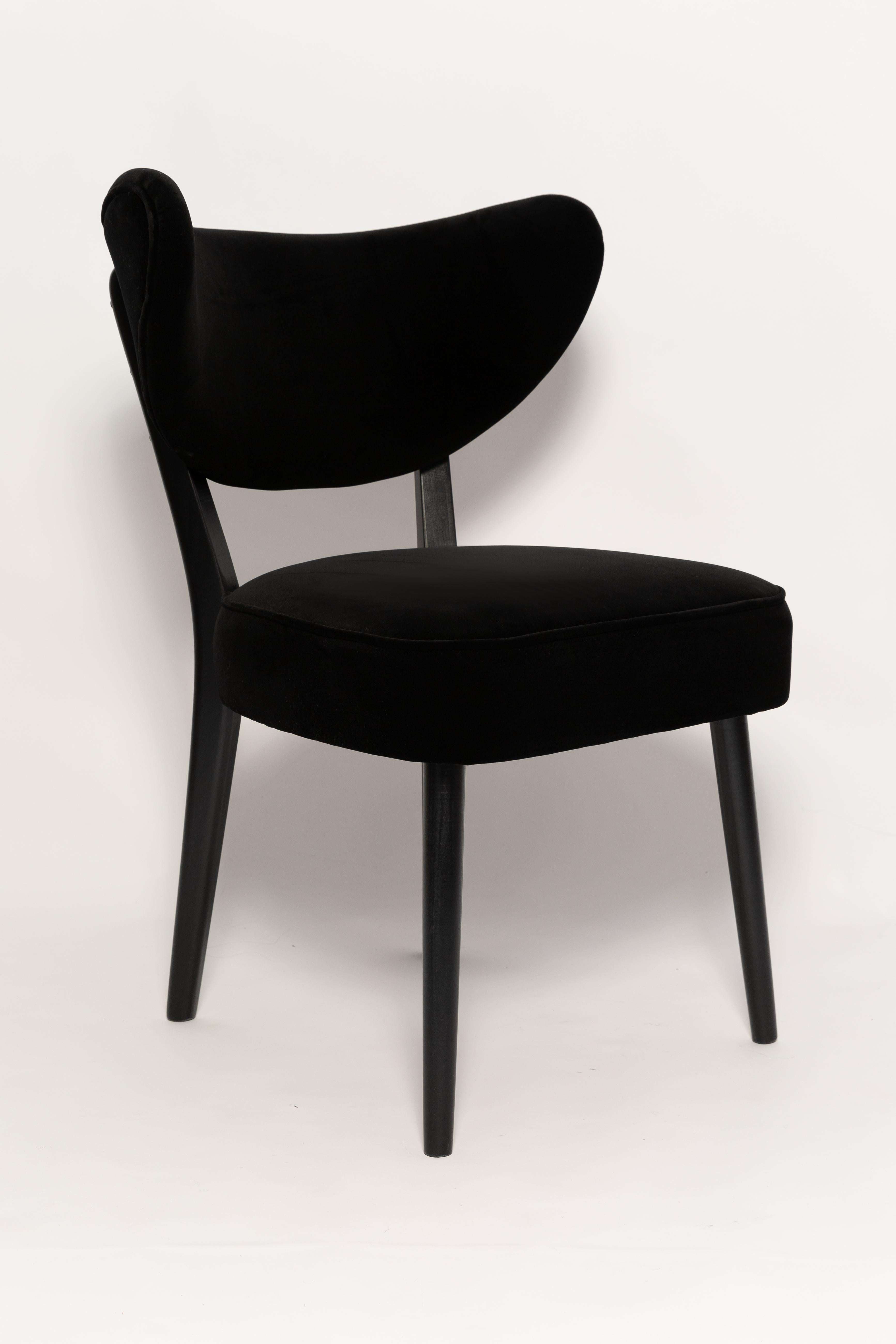 Hand-Crafted Six Vintola Dining Chairs, Black Velvet Adamo and Eva by Dedar, Europe, Poland For Sale