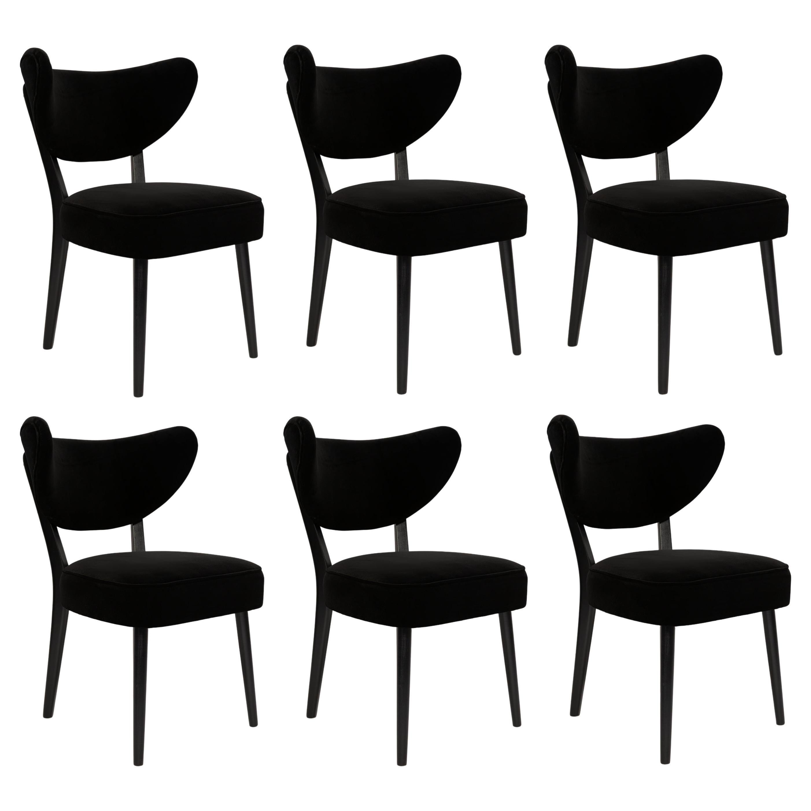 Seis sillas de comedor Vintola, terciopelo negro Adamo y Eva de Dedar, Europa, Polonia