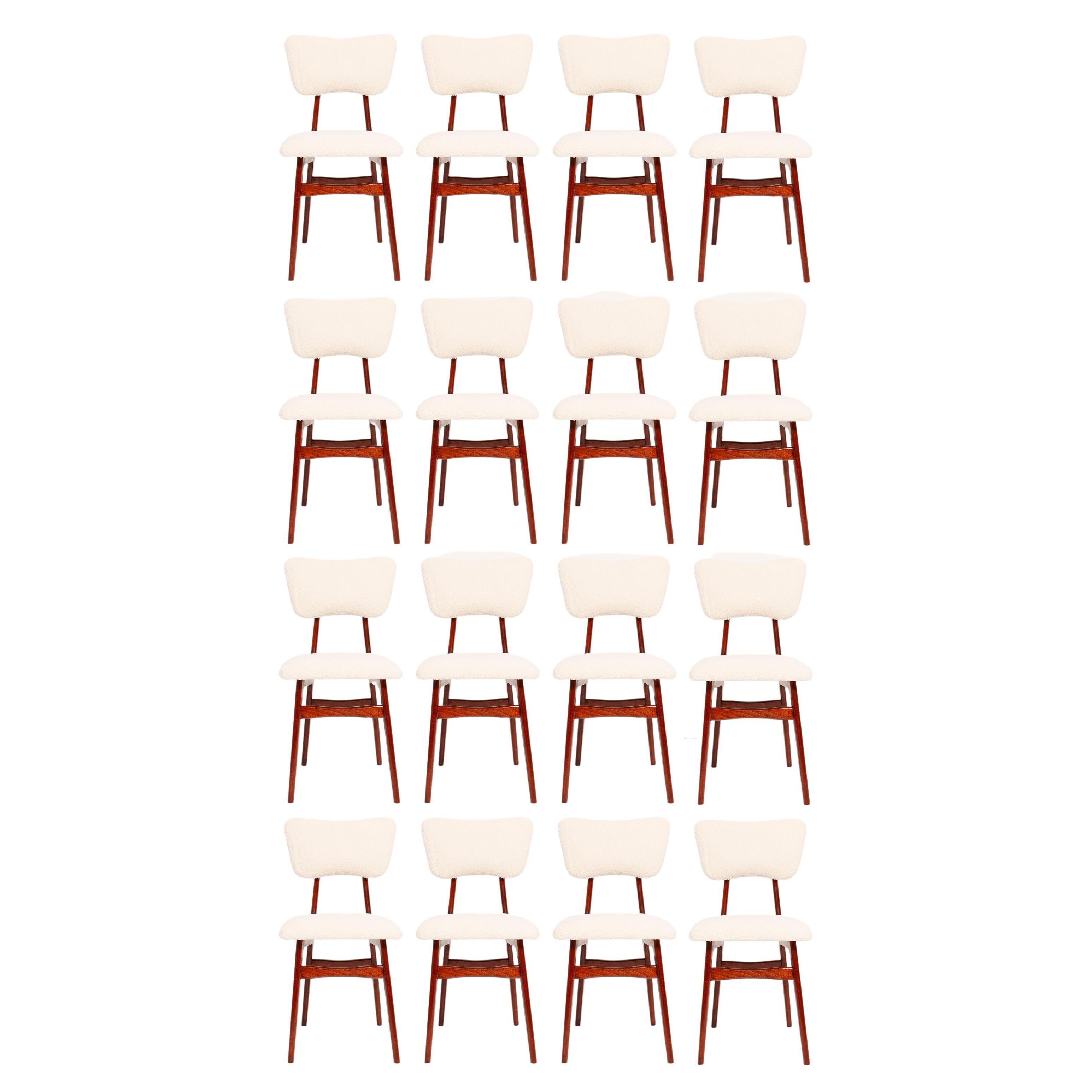 Sixteen chaises papillons en bois de cerisier bouclé et crème claire du 20ème siècle, Europe, 1960