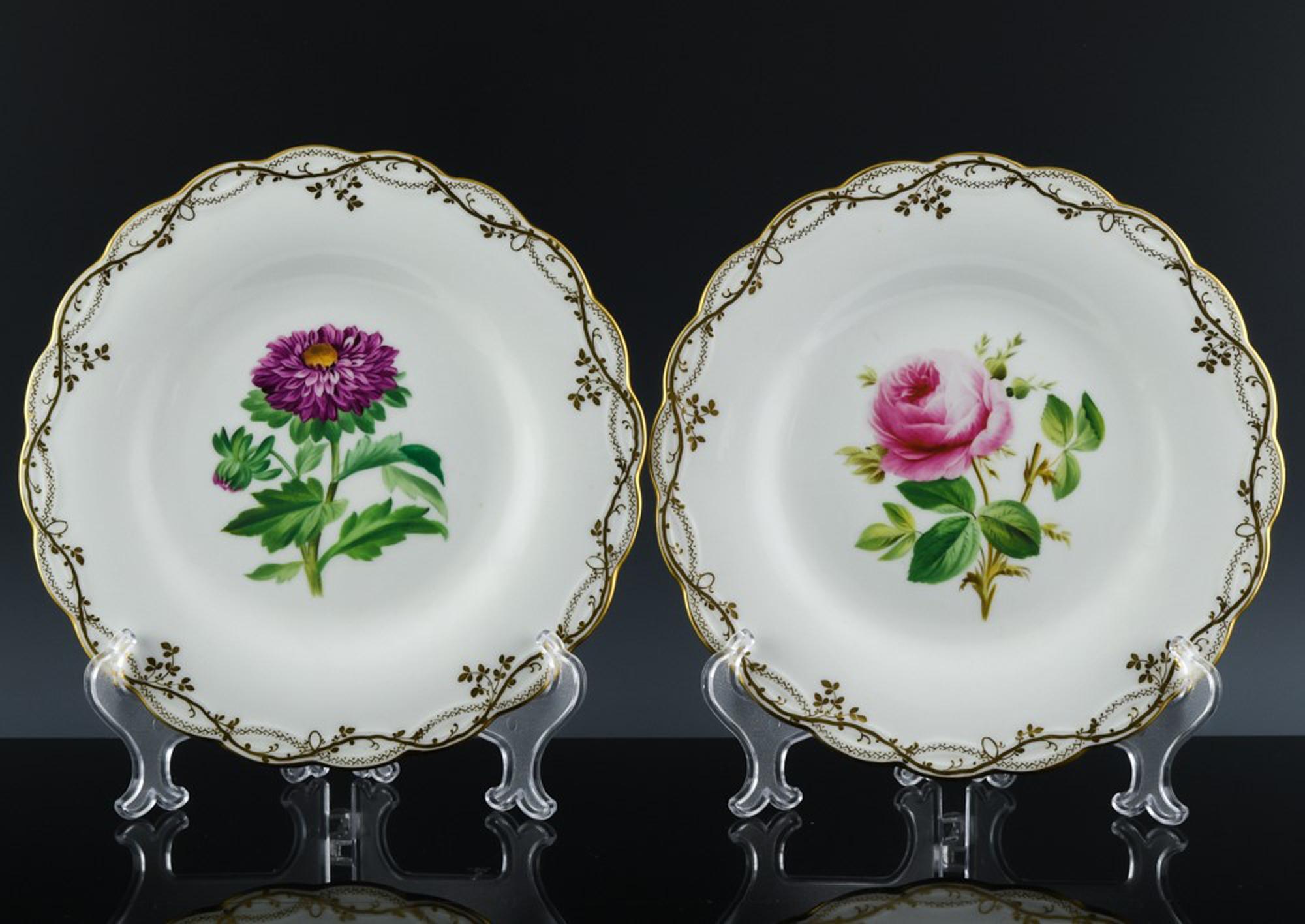 Sixteen Minton Porcelain Botanical Specimen Flower Plates, Minton Pattern A 1361 7