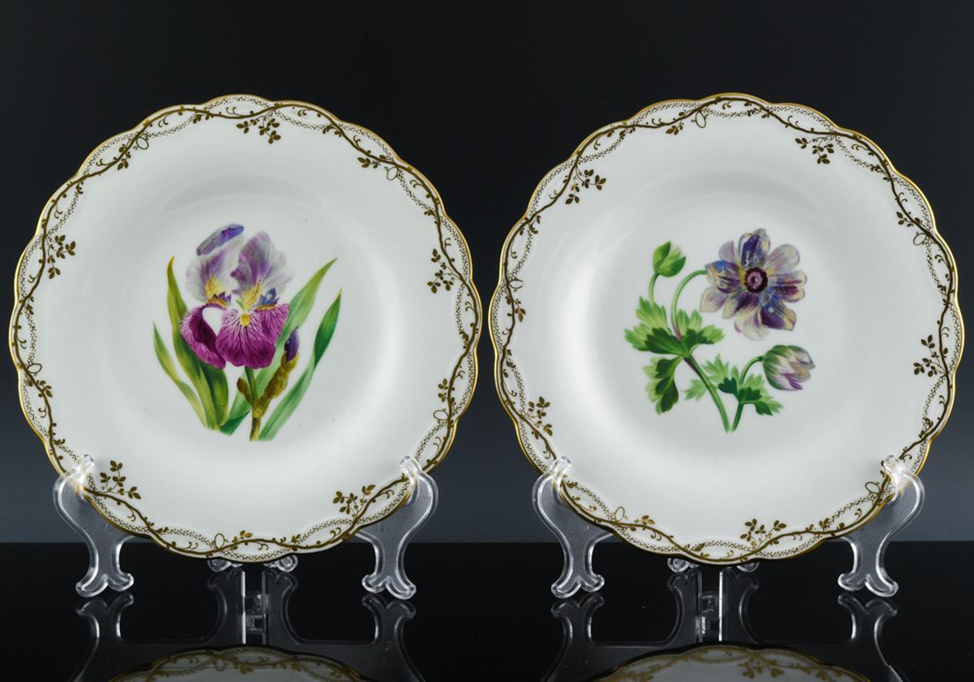 Sixteen Minton Porcelain Botanical Specimen Flower Plates, Minton Pattern A 1361 9