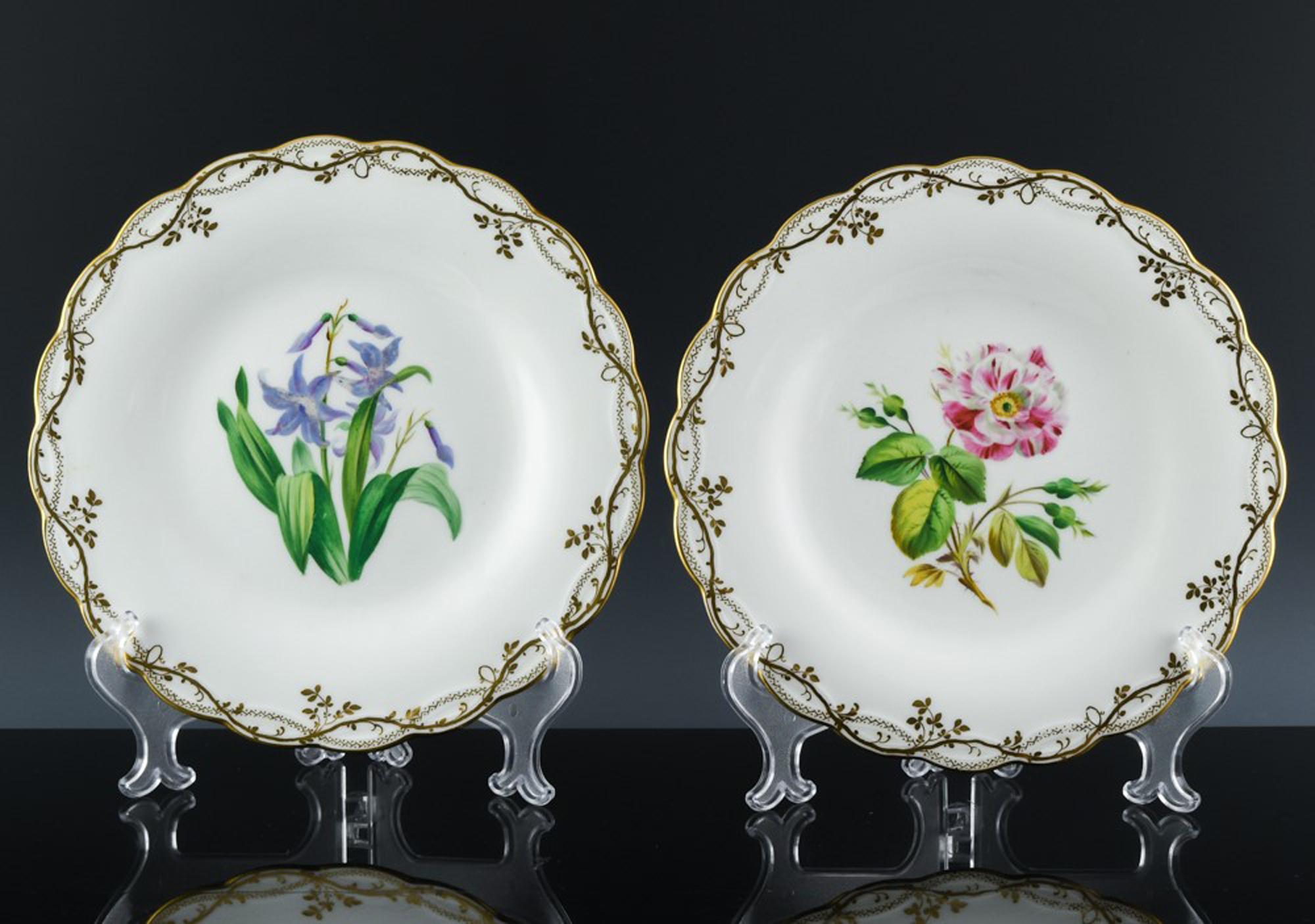 Sixteen Minton Porcelain Botanical Specimen Flower Plates, Minton Pattern A 1361 10