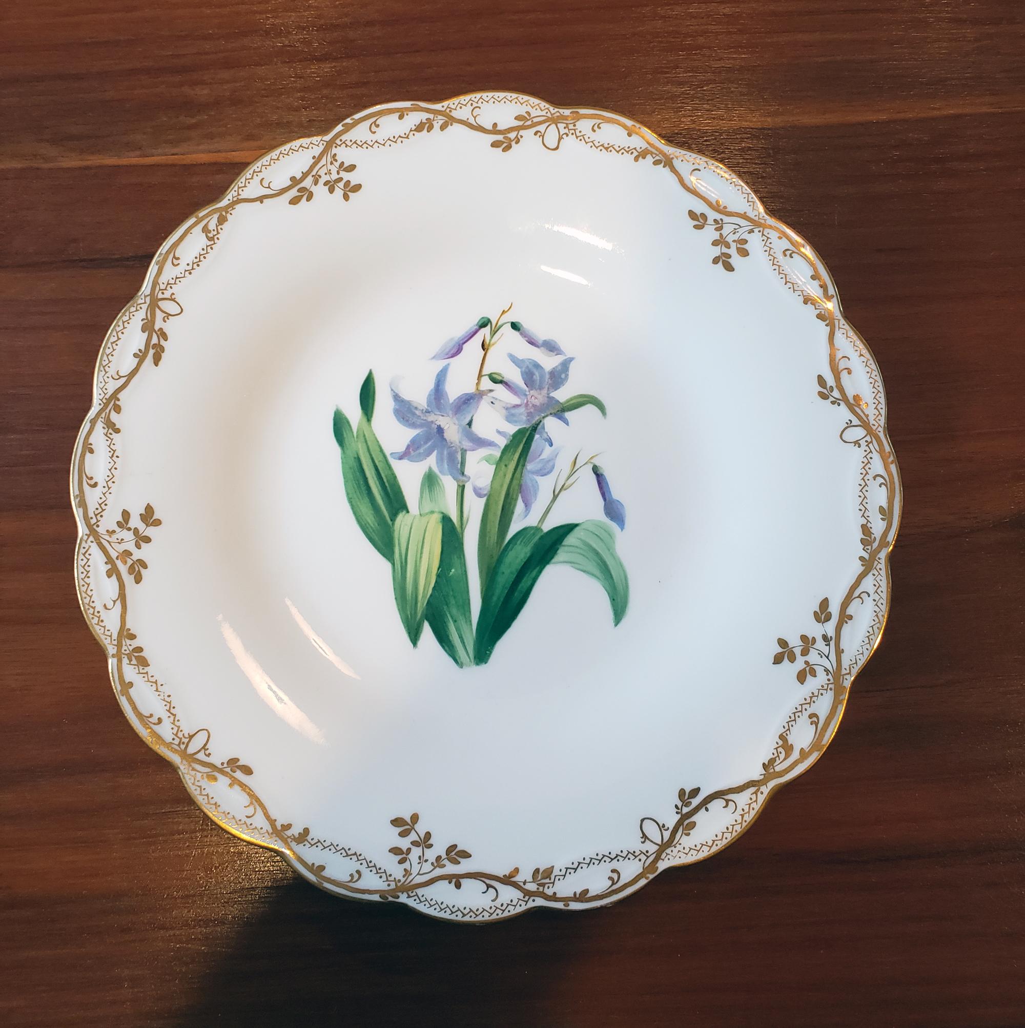 Sixteen Minton Porcelain Botanical Specimen Flower Plates,
Minton Pattern A 1361,
Circa 1846

Each plate is finely painted with a different botanical specimen. The border with double overlapping gilt bands- one band with groupings of gilt