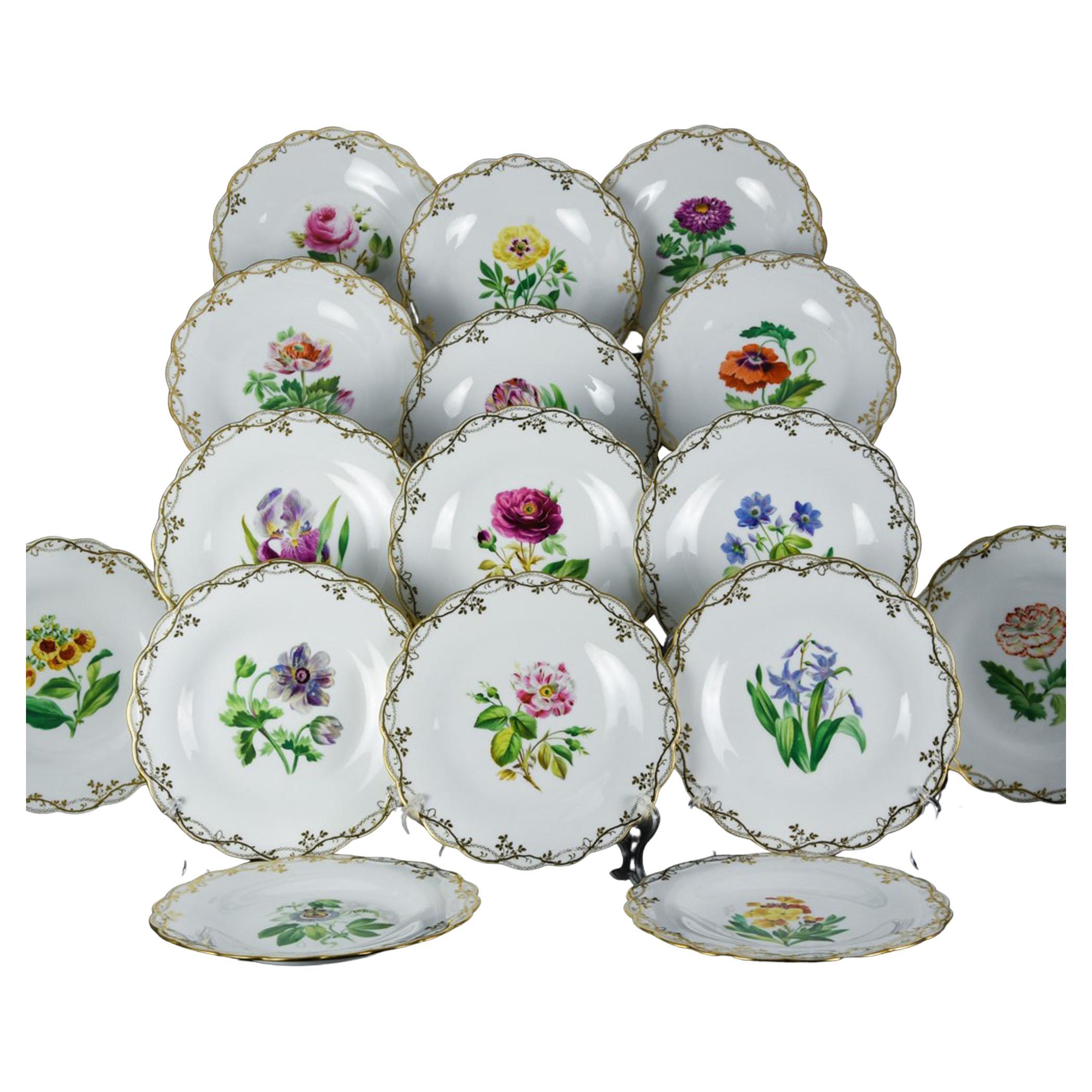 Sixteen Minton Porcelain Botanical Specimen Flower Plates, Minton Pattern A 1361