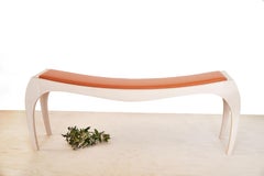 Skay Rumbo Bench by Jean-Baptiste Van Den Heede