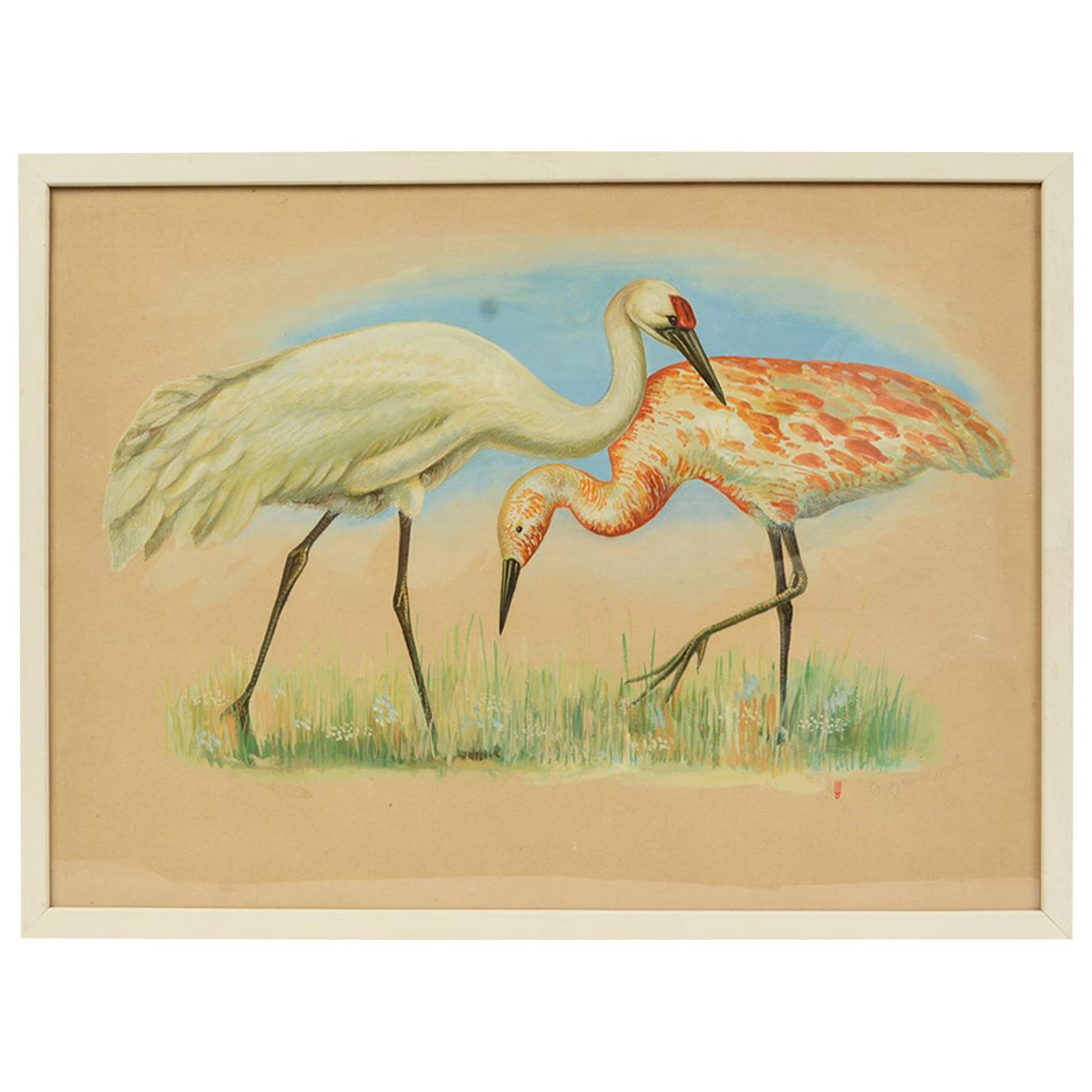 Sketch of two herons Korea 1970s Acrylic on paper for an Animals Encyclopedia For Sale