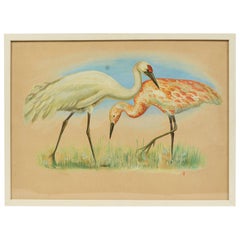 Vintage Sketch of two herons Korea 1970s Acrylic on paper for an Animals Encyclopedia