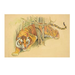 Sketch Made in Korea in the 1970s Acrylic on Paper for an Animals Encyclopedia