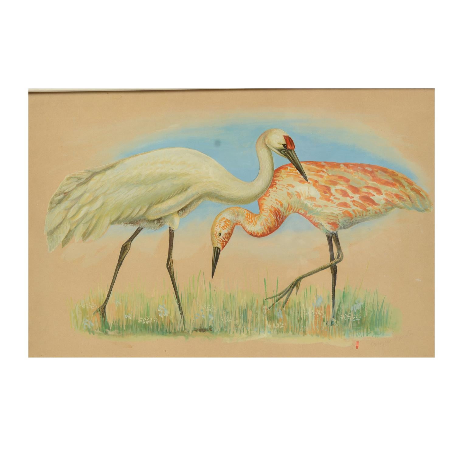 Acrylic colors on paper depicting two herons; it is a preparatory sketch commissioned for an animals encyclopedia for children, created and signed by a Korean artist in the 1970s. Very good condition. With frame 49.5 x 67 cm.
Shipping is insured by
