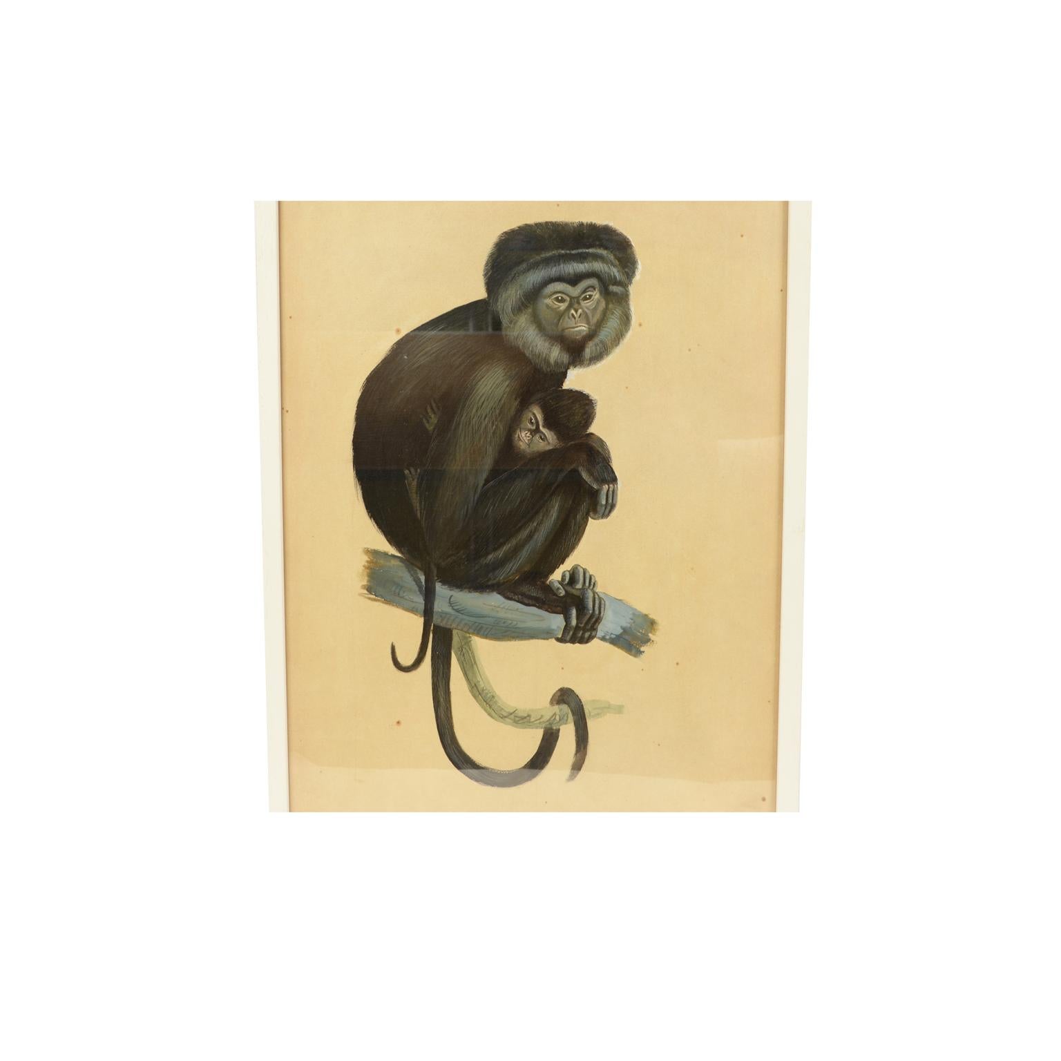 Acrylfarben auf Papier, die zwei Gibbons darstellen; es handelt sich um eine vorbereitende Skizze, die von einem koreanischen Künstler in den 1970er Jahren für ein Tierlexikon für Kinder in Auftrag gegeben und signiert wurde. Sehr guter Zustand. Mit