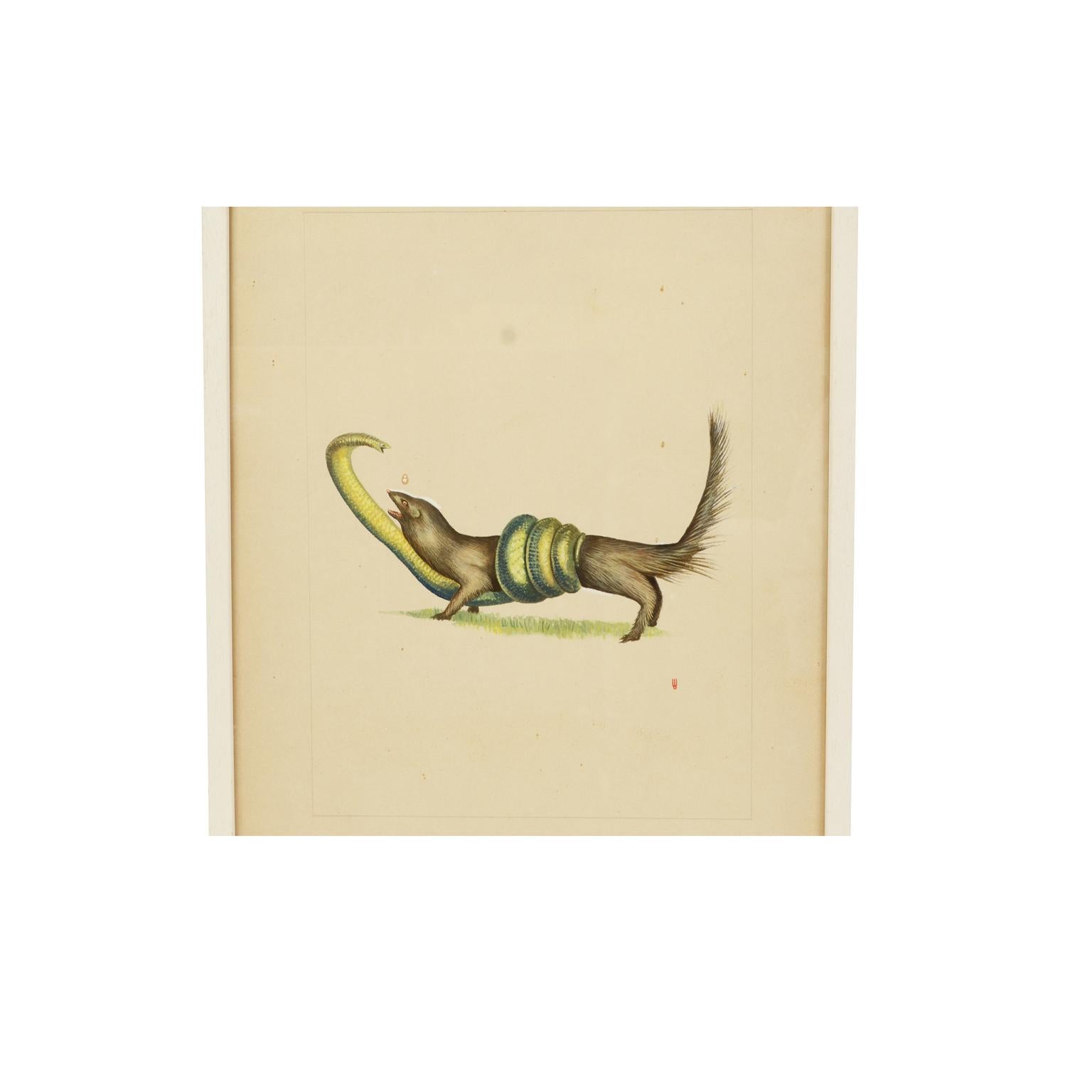Acrylic colors on paper depicting a weasel attacked by a snake; it is a preparatory sketch commissioned for an animals encyclopedia for children, created and signed by a Korean artist in the 1970s. Very good condition. With frame 49.5 x 67