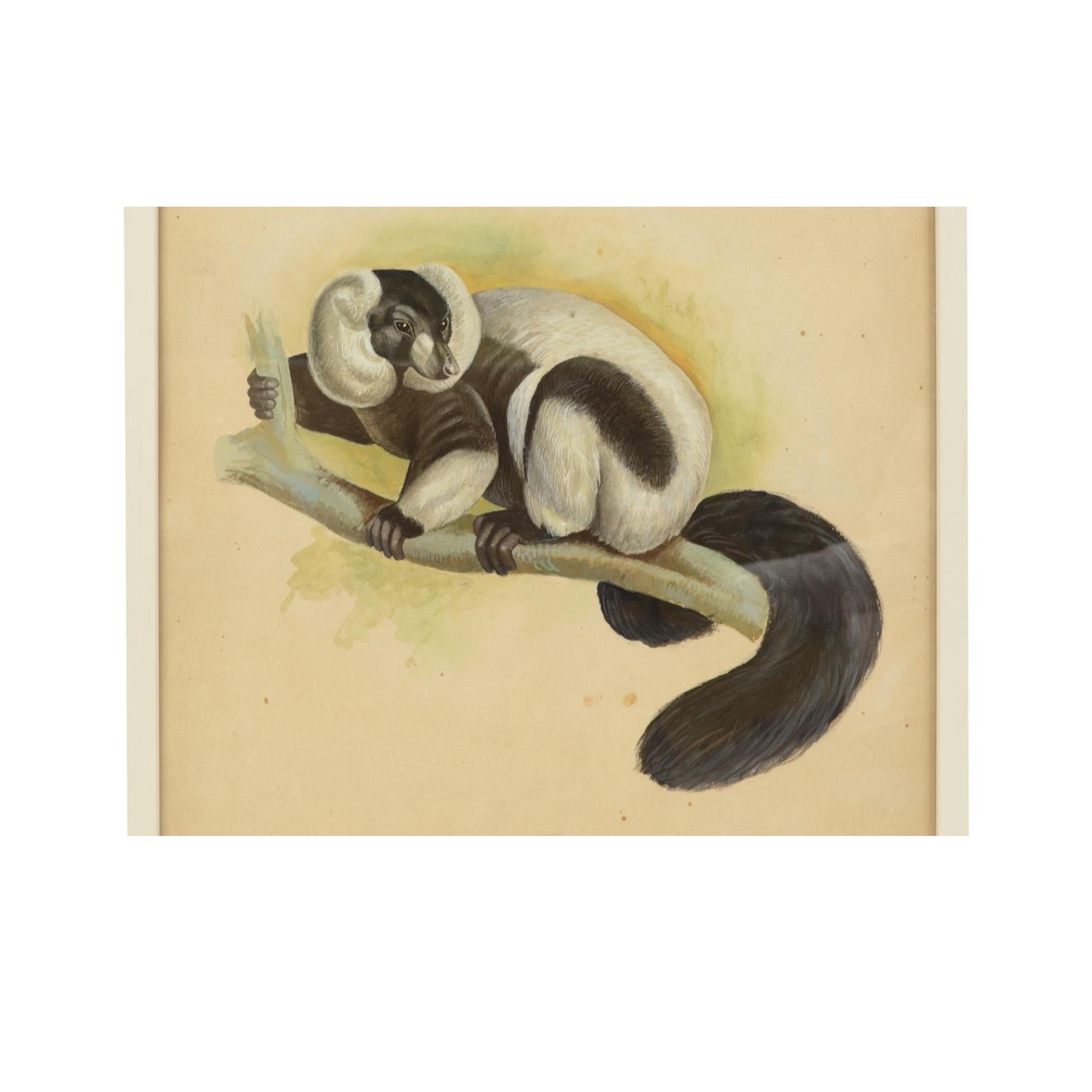 Couleurs acryliques sur papier représentant un singe ; il s'agit d'une esquisse préparatoire commandée pour une encyclopédie des animaux pour enfants, créée et signée par un artiste coréen dans les années 1970. Très bon état. Avec cadre 49,5 x 67
