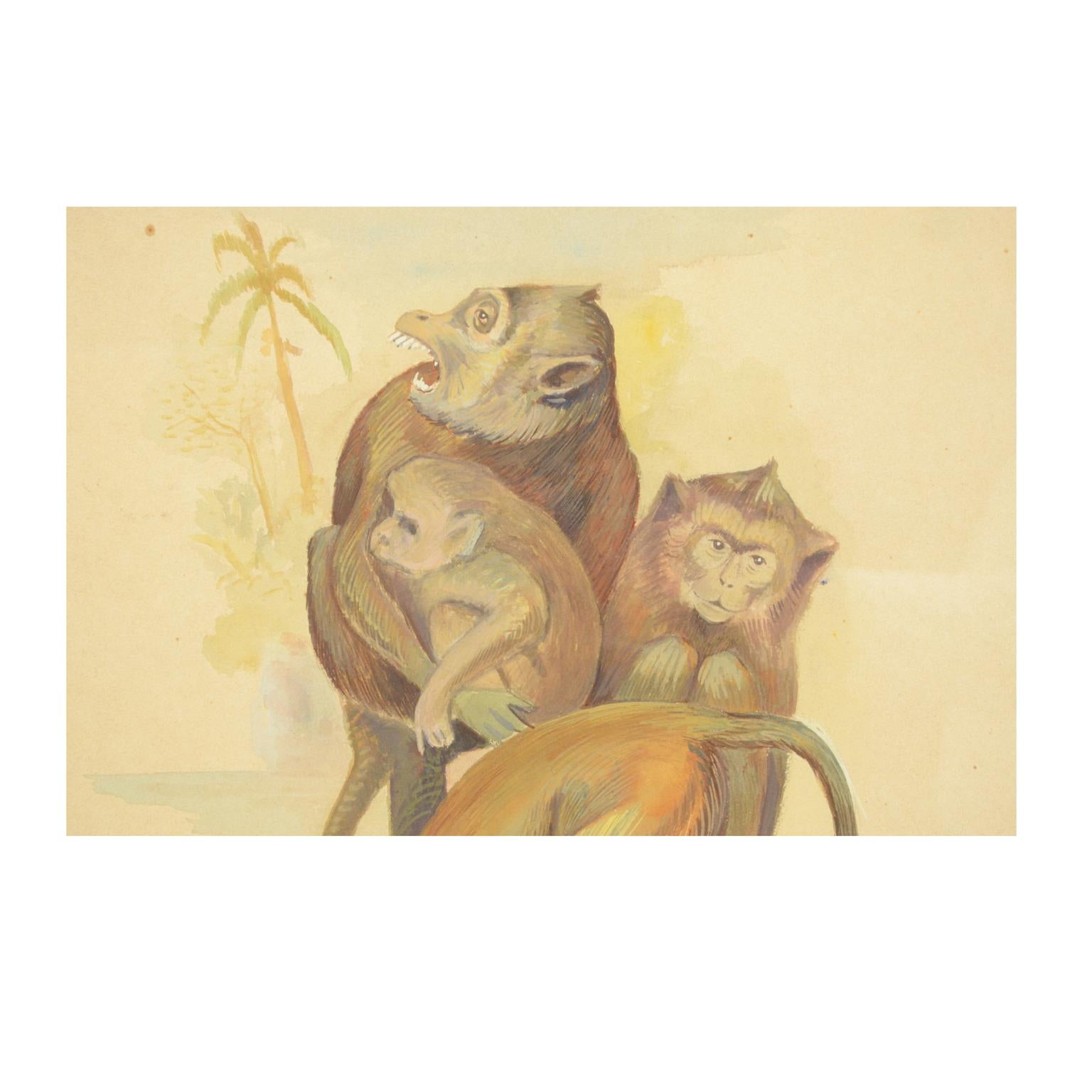 Korean Sketch of Four Macaques Korea 1970s Acrylic on Paper for an Animals Encyclopedia For Sale