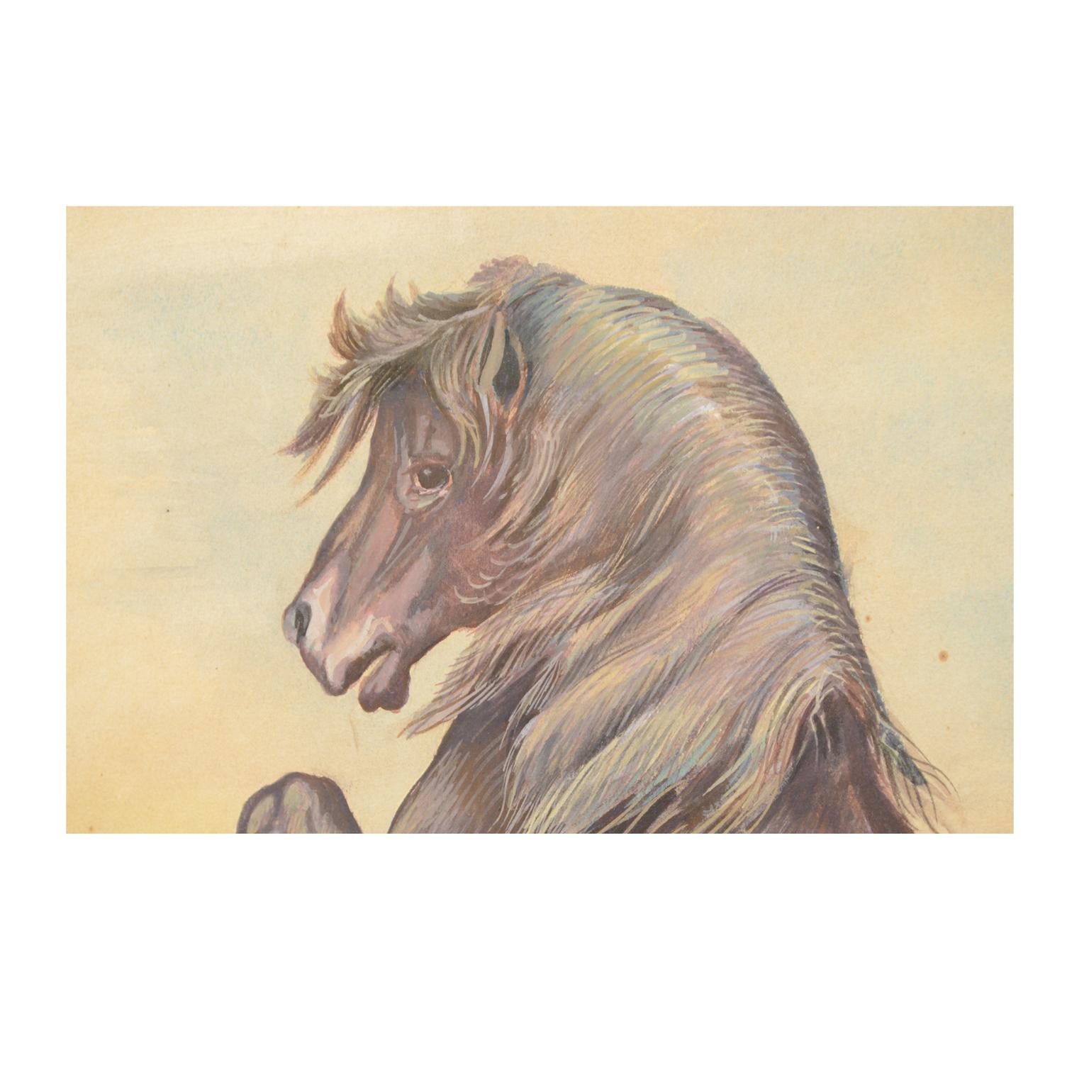Korean Sketch of a Pony Korea 1970s Acrylic on Paper for an Animals Encyclopedia For Sale