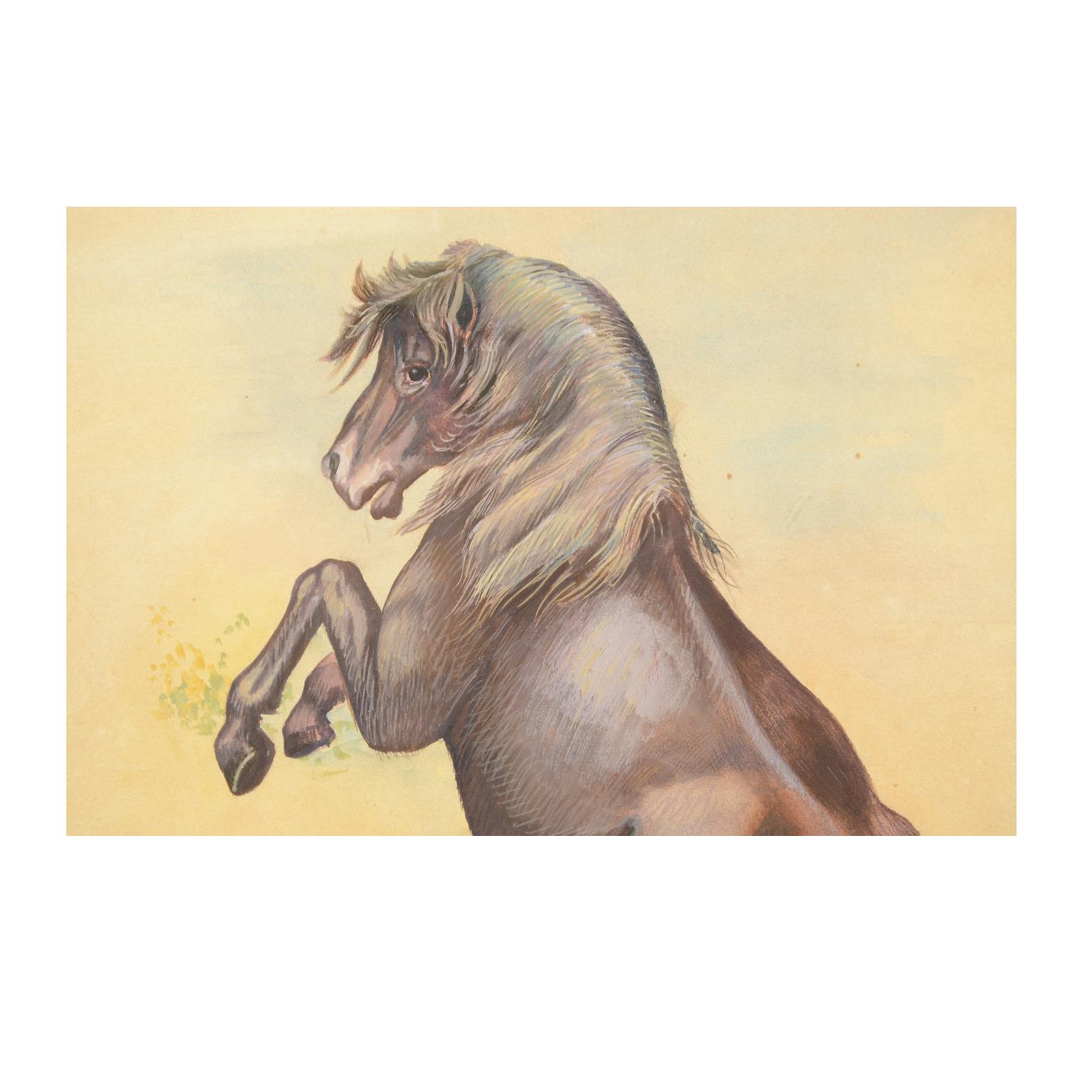 Sketch of a Pony Korea 1970s Acrylic on Paper for an Animals Encyclopedia In Good Condition For Sale In Milan, IT