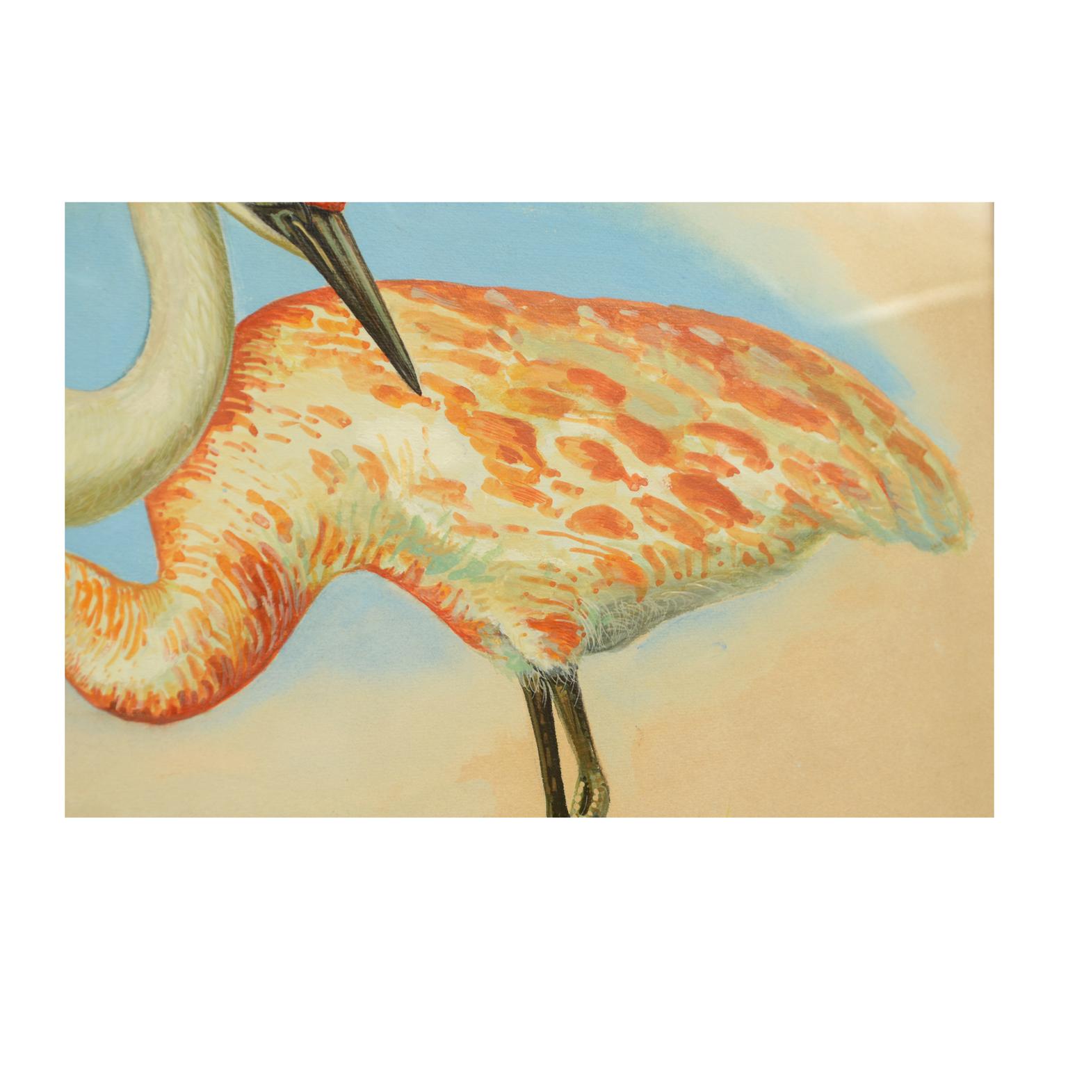 Late 20th Century Sketch of two herons Korea 1970s Acrylic on paper for an Animals Encyclopedia For Sale