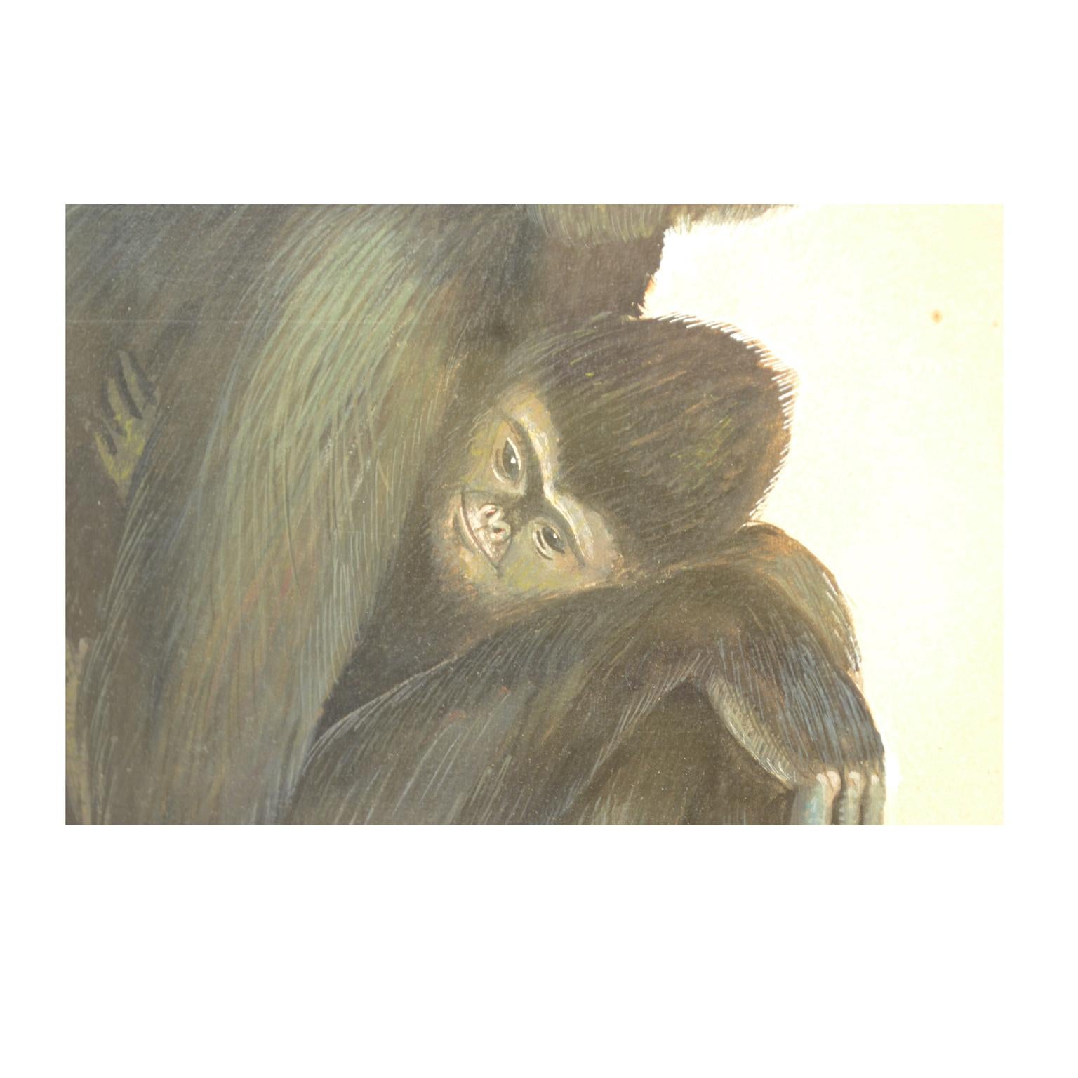 Late 20th Century Sketch of two gibbons Korea 1970s Acrylic on Paper for an Animals Encyclopedia For Sale