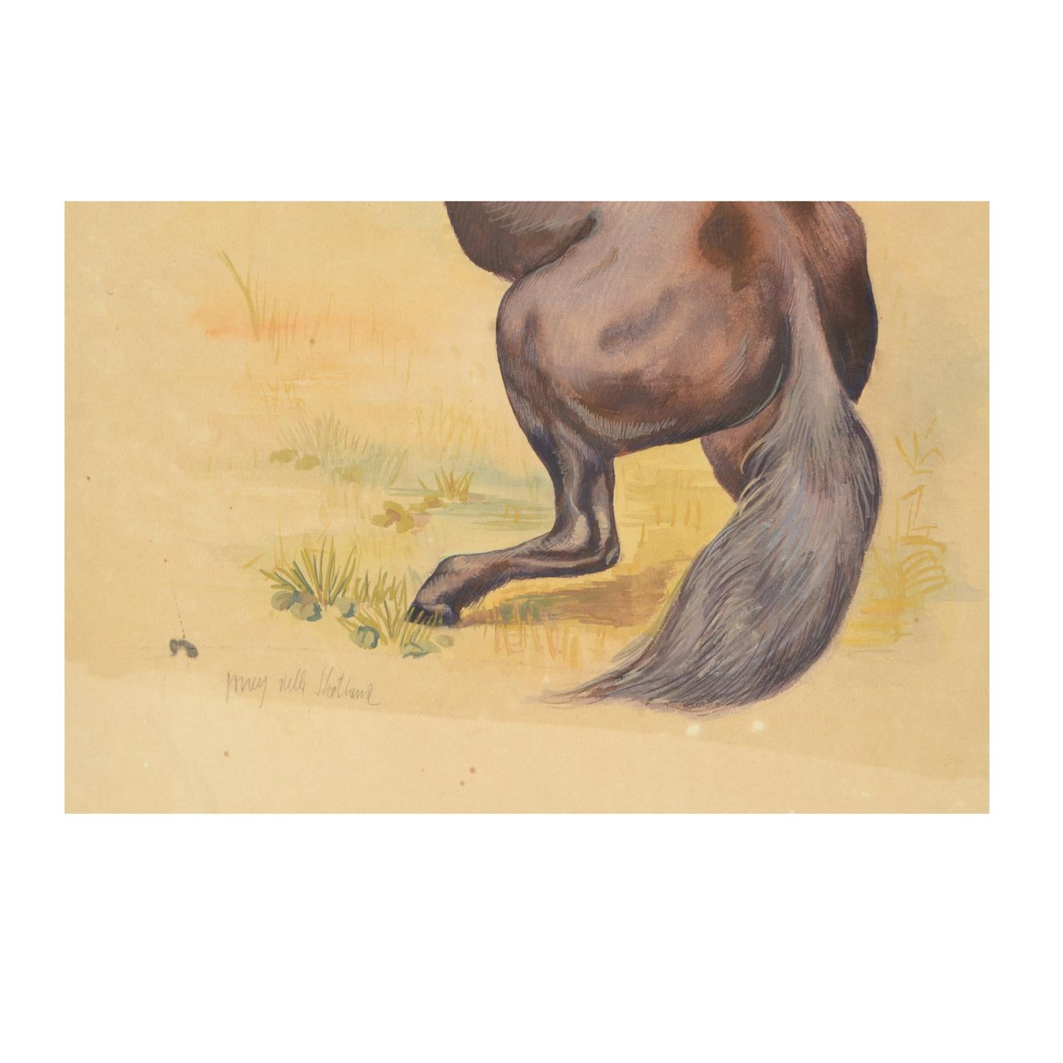 Sketch of a Pony Korea 1970s Acrylic on Paper for an Animals Encyclopedia For Sale 1