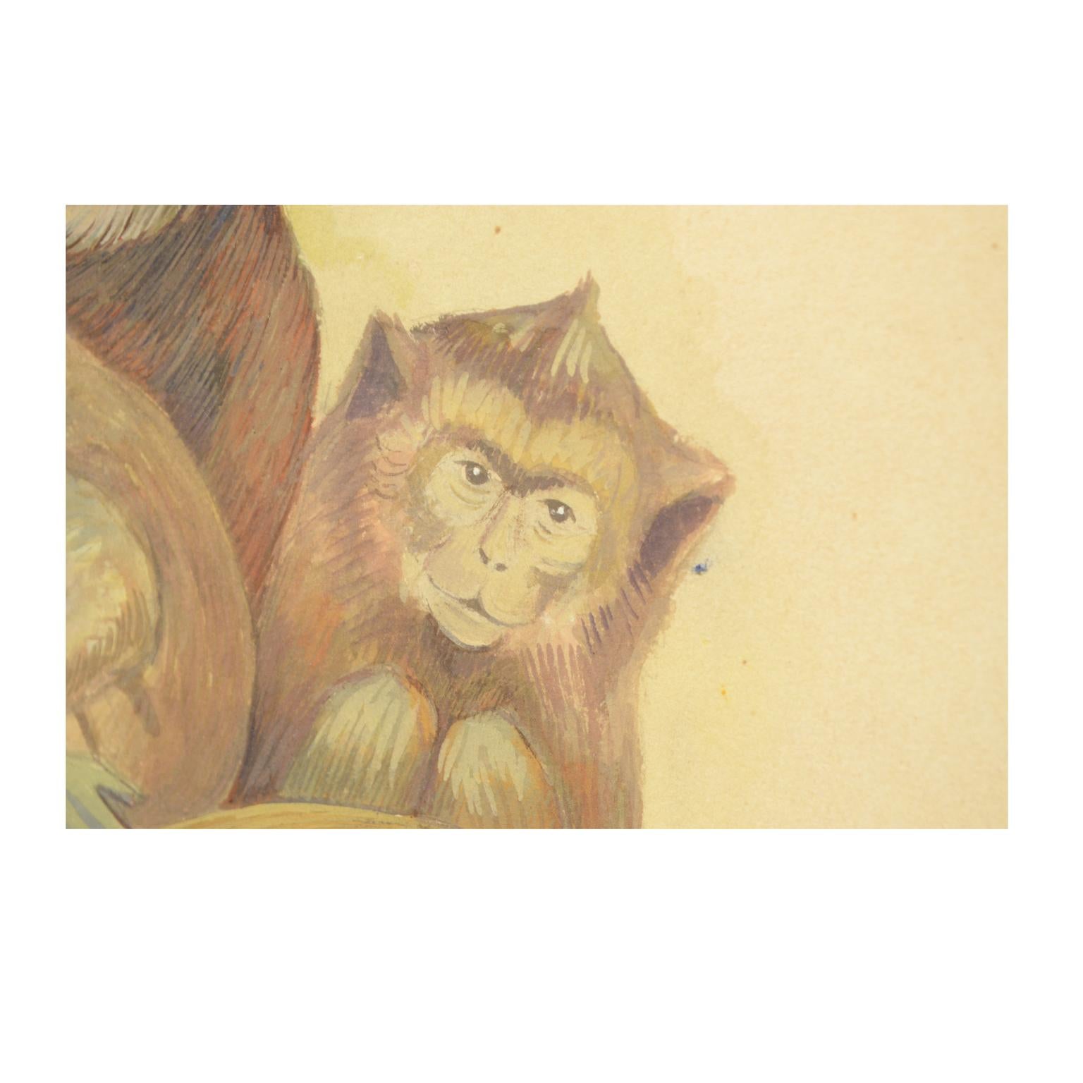Sketch of Four Macaques Korea 1970s Acrylic on Paper for an Animals Encyclopedia For Sale 2