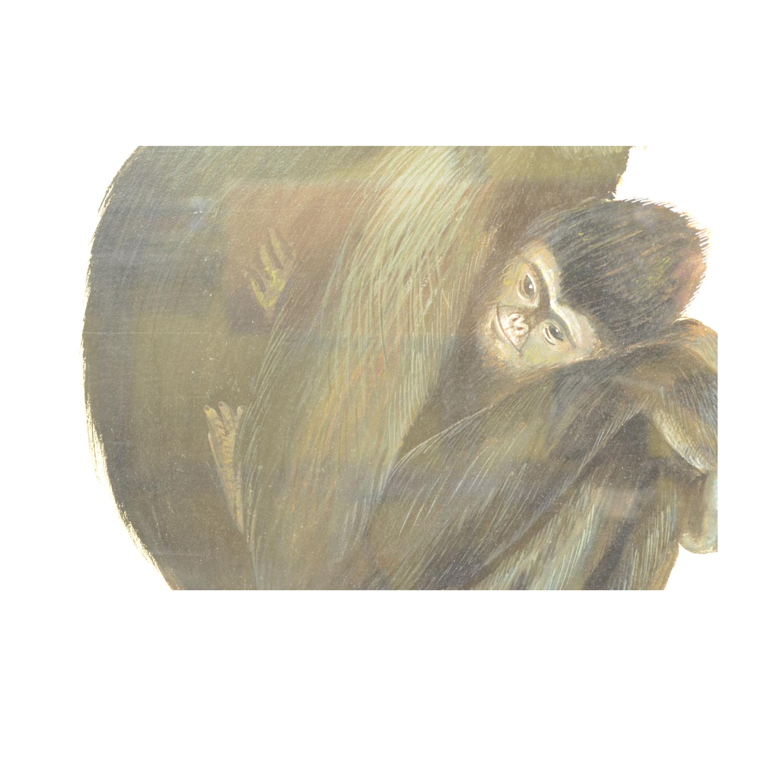 Sketch aus zwei Gibbons Korea 1970er Jahre Acryl auf Papier für eine Tierzeitschrift im Angebot 2