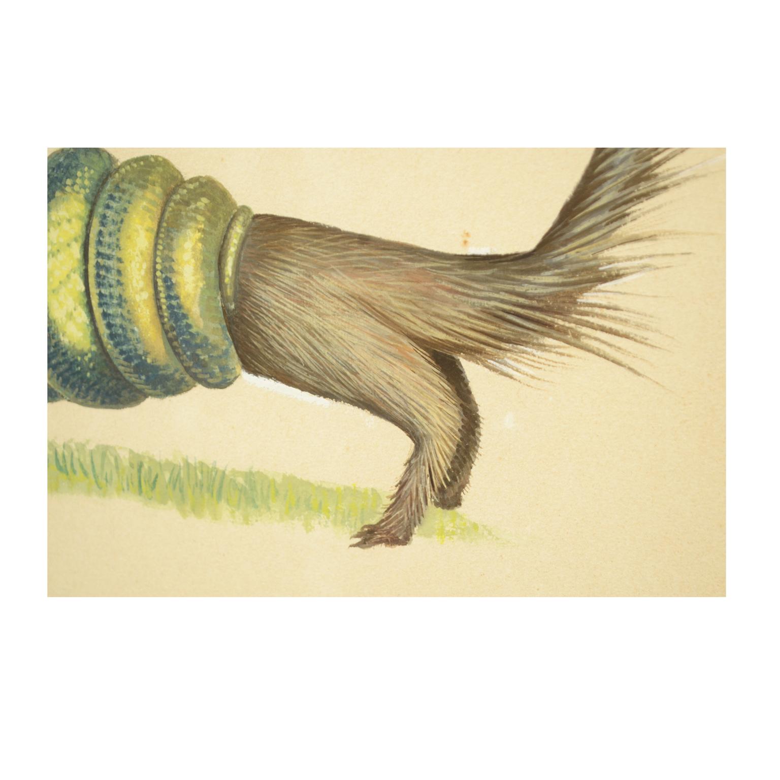 Croquis d'un tisserand Corée des années 1970, acrylique sur papier pour une encyclopédie d'animaux en vente 1