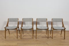 Ski Jumper Chairs from Zamojska, Poland 1970s Set of 4