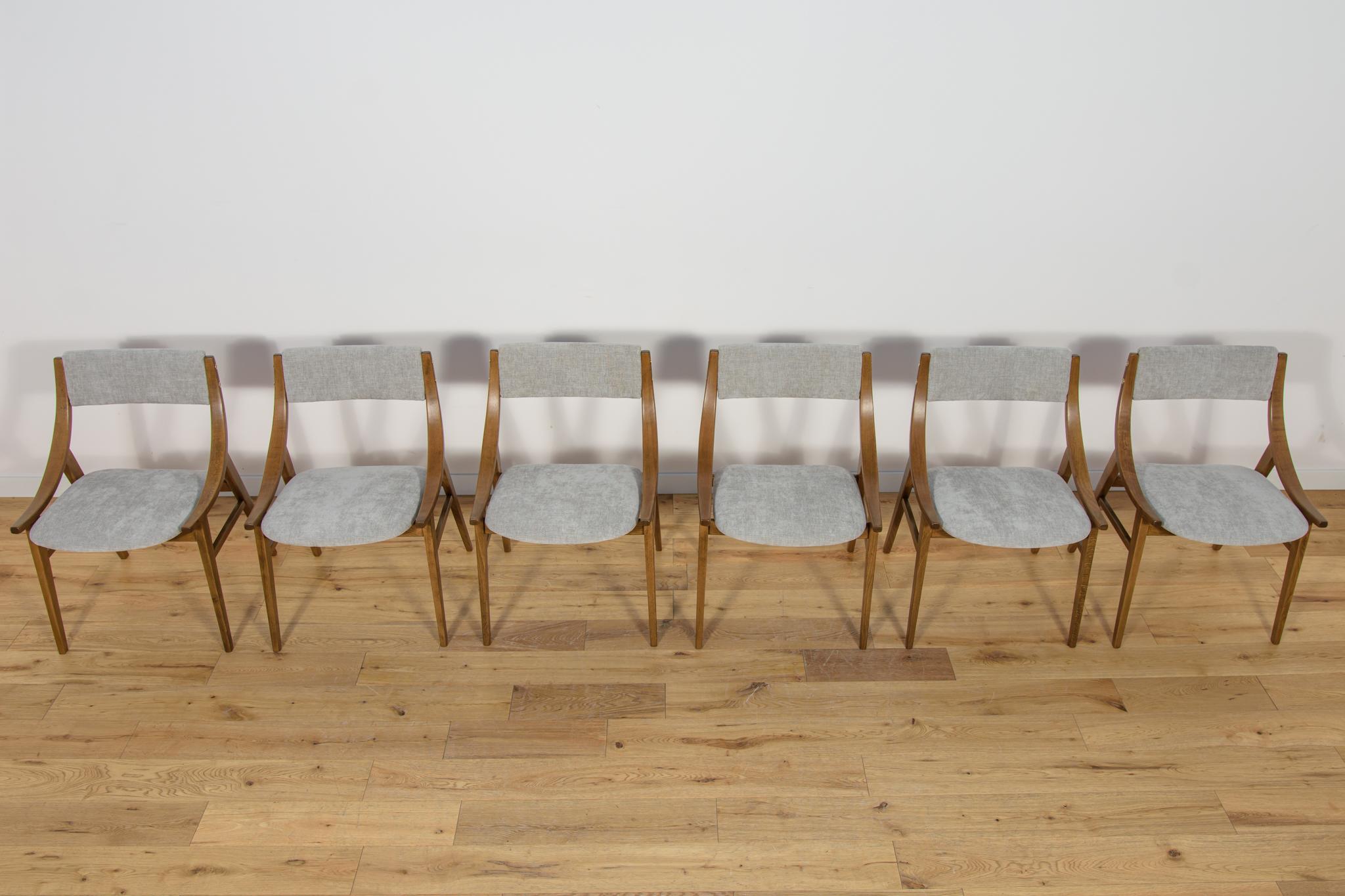 Mid-Century Modern Ski Jumper Chairs from Zamojska, Poland  1970s Set of 6 For Sale