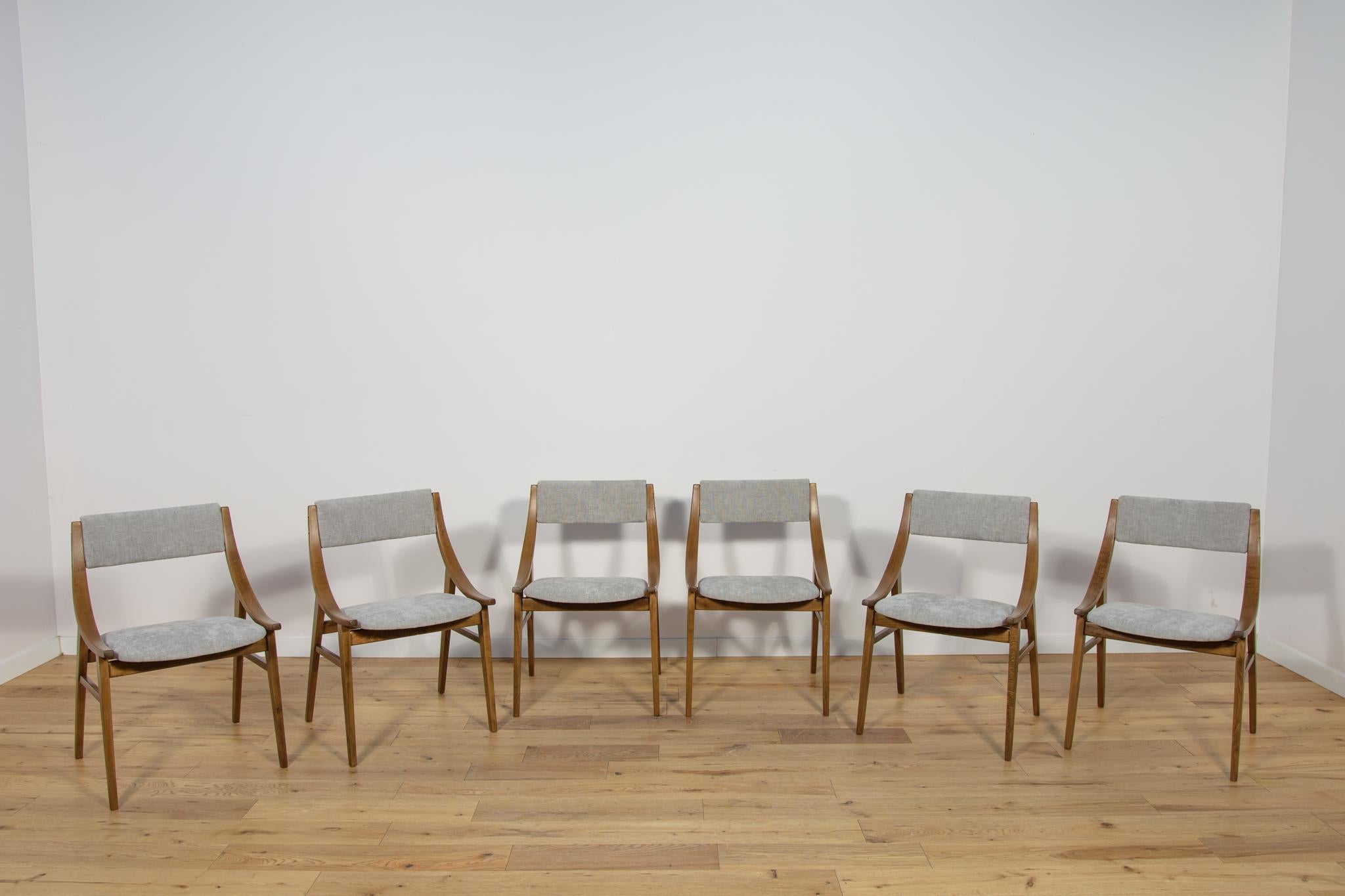 Polish Ski Jumper Chairs from Zamojska, Poland  1970s Set of 6 For Sale
