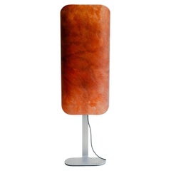 SkinFrame Floor Lamp by Mike Serra