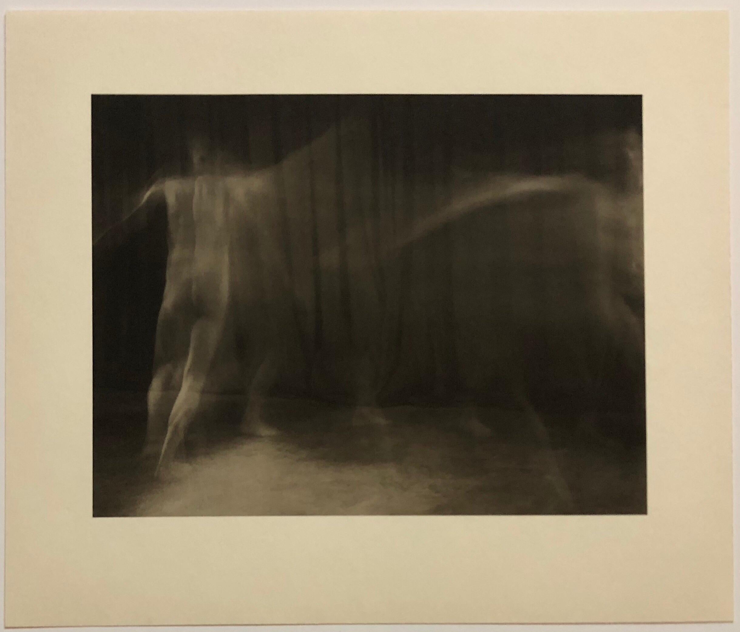 Printed by Muse X in Los Angeles. These are unsigned from a small edition. sepia-toned platinum palladium photographs on paper by Skip Arnold, show the always attractive artist, nude, doing the titular Ring around the Rosie. It's a great subject,
