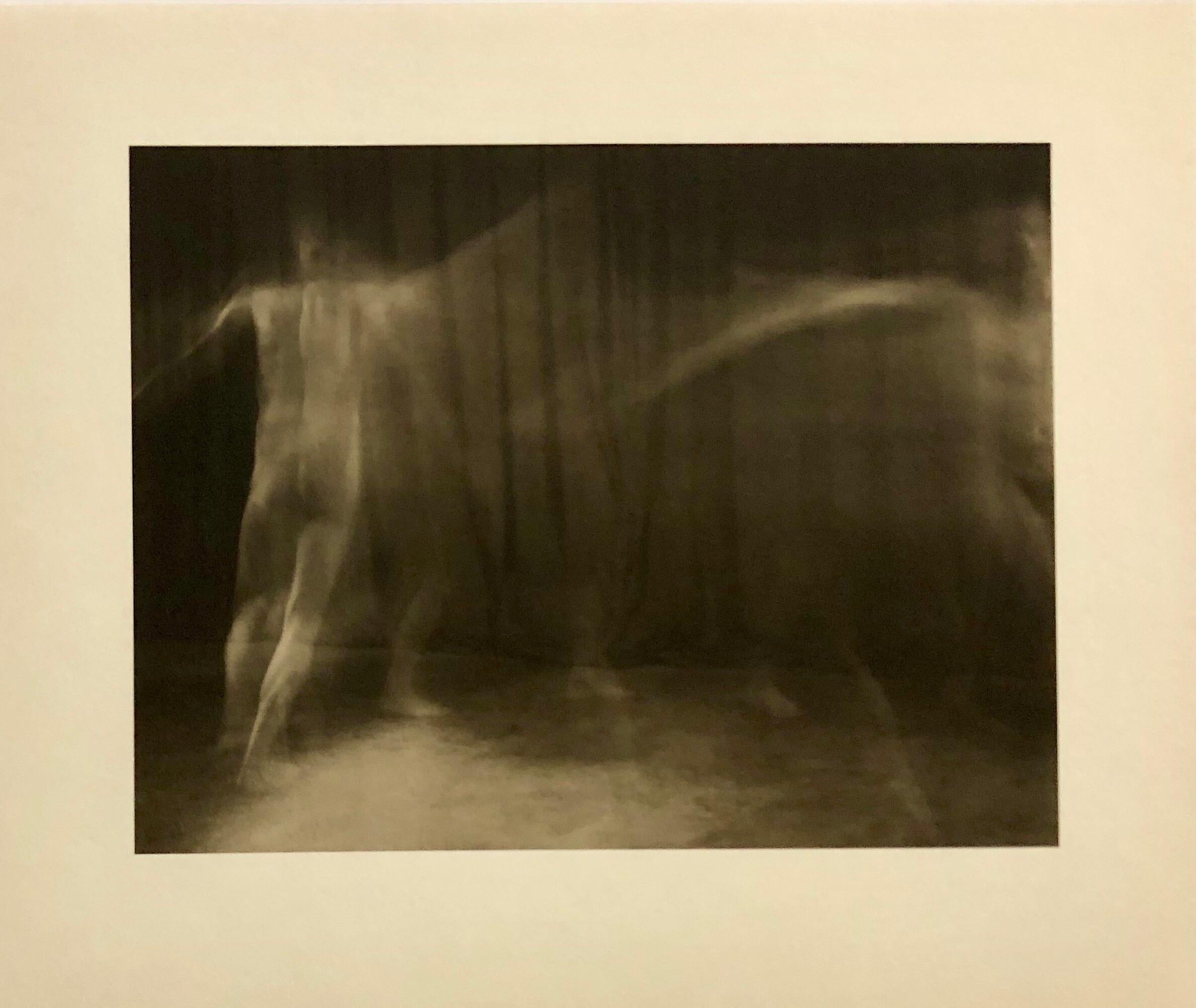 Skip Arnold Nude Photograph - Vintage Photograph Male Nude Platinum Print Photo 'Ring Around the Rosie' 