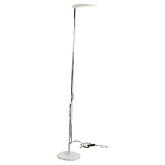 Floor Lamps