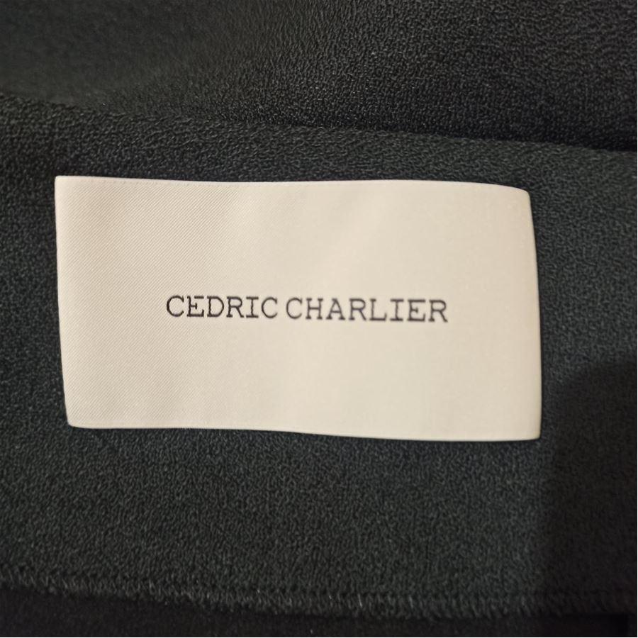 Women's Cedric Charlier Skirt size 46 For Sale