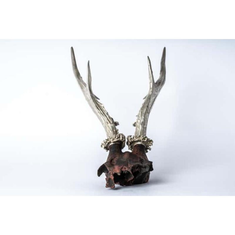Double Skull horns in brass. It is a striking and intriguing piece of art, capturing the essence of the majestic animal kingdom in a unique and captivating form. Its construction adds a touch of elegance, fierce and power, making it a remarkable