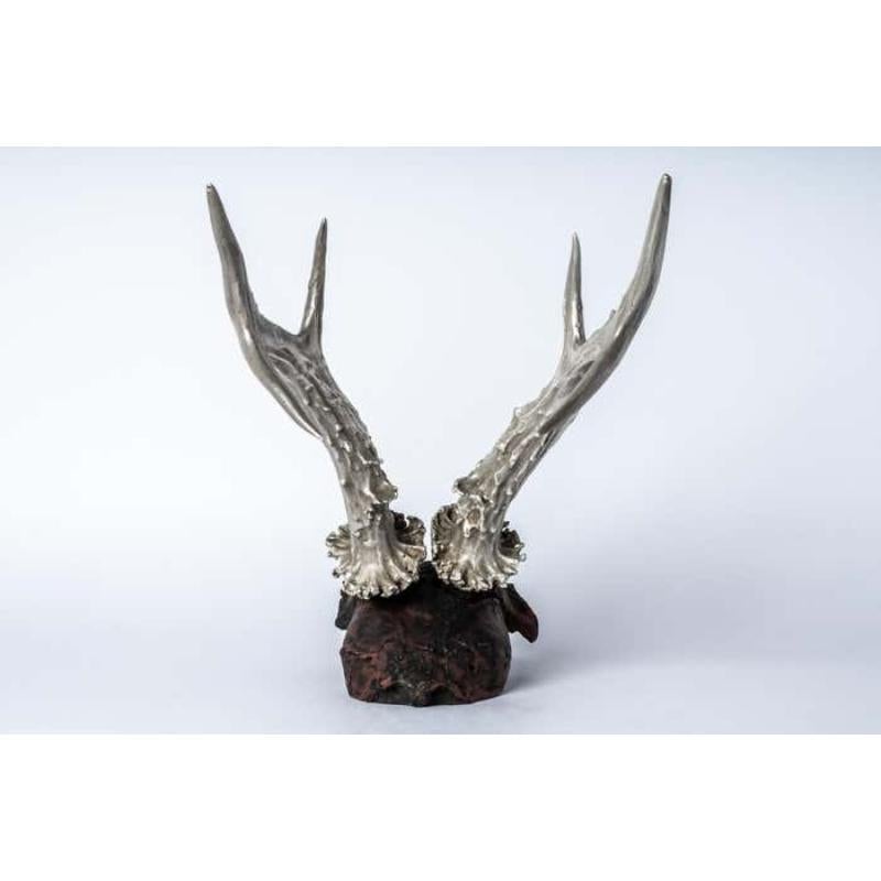 Women's or Men's Skull (Double Horns, DR+AS) For Sale