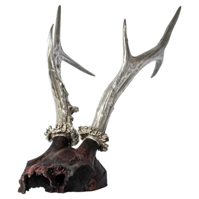 Skull (Double Horns, DR+AS) For Sale