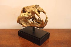 Skull Head Vanity in the Style of Pasqua