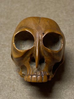 Skull Netsuke, Boxwood, Japan, 19th Century