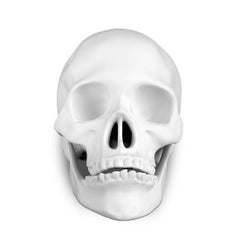 Skull White Porcelain Sculpture