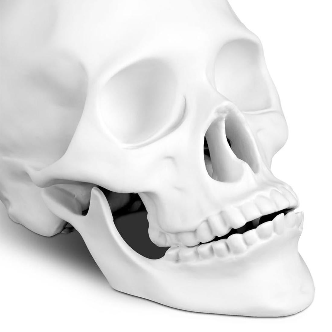 Hand-Crafted Skull White Porcelain Sculpture