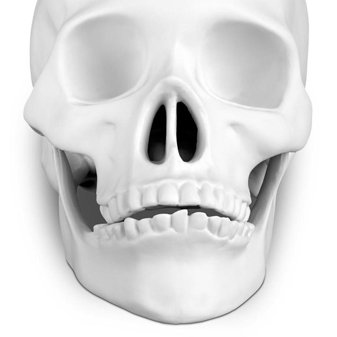 Skull White Porcelain Sculpture In New Condition In Paris, FR